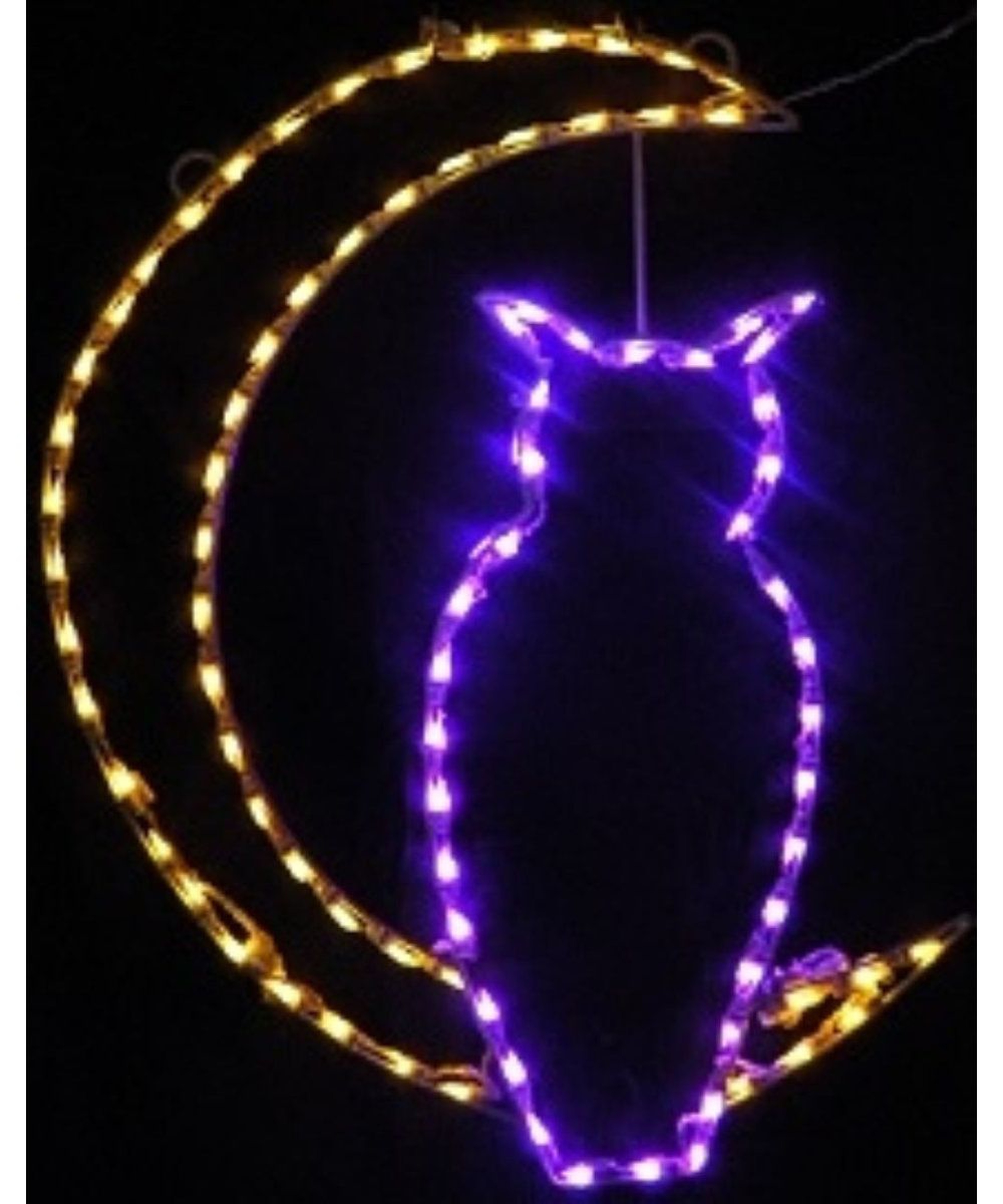 Hanging Owl And Moon Halloween LED Lighted Display 0