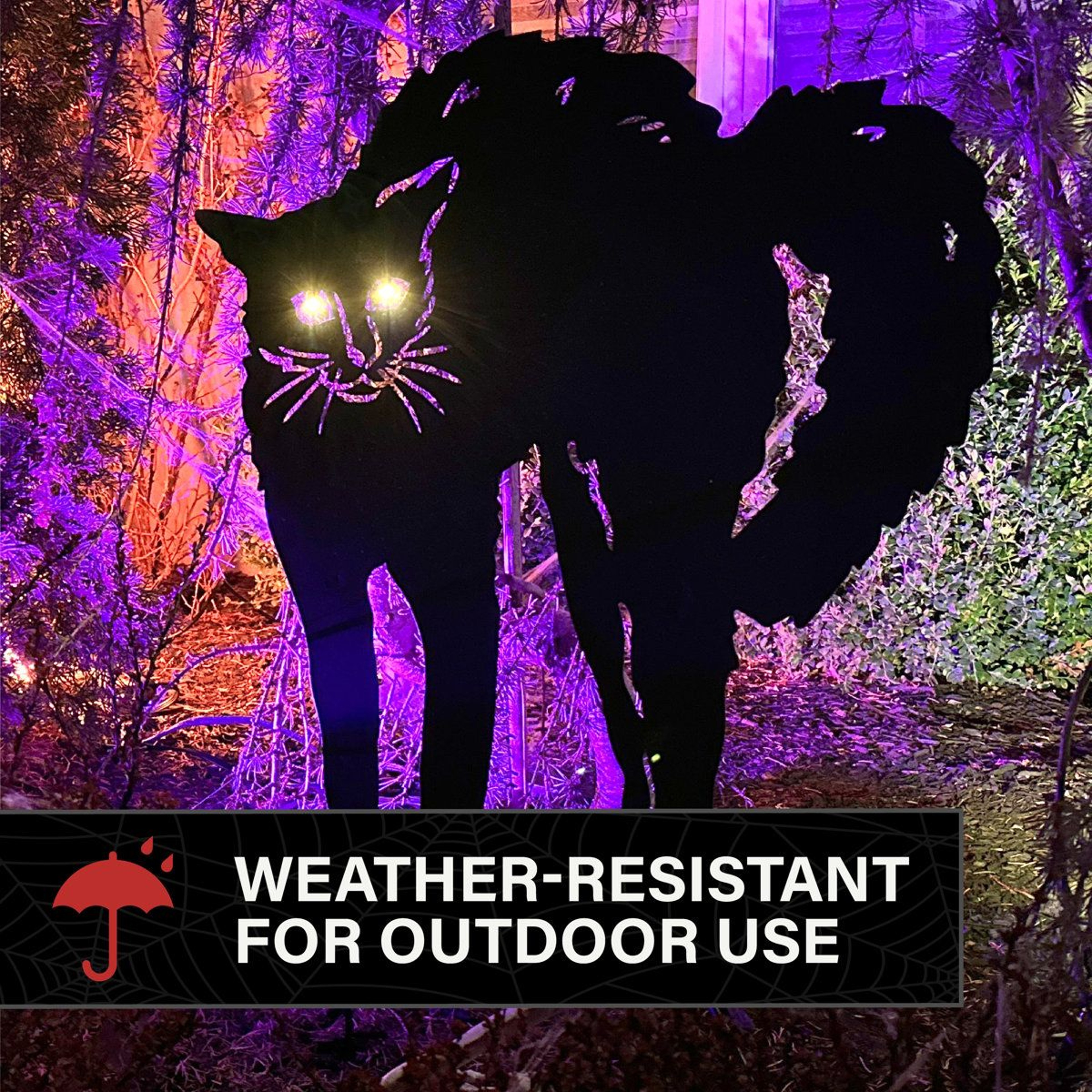 LED Black Cat Halloween Decoration With Light Up Eyes 4
