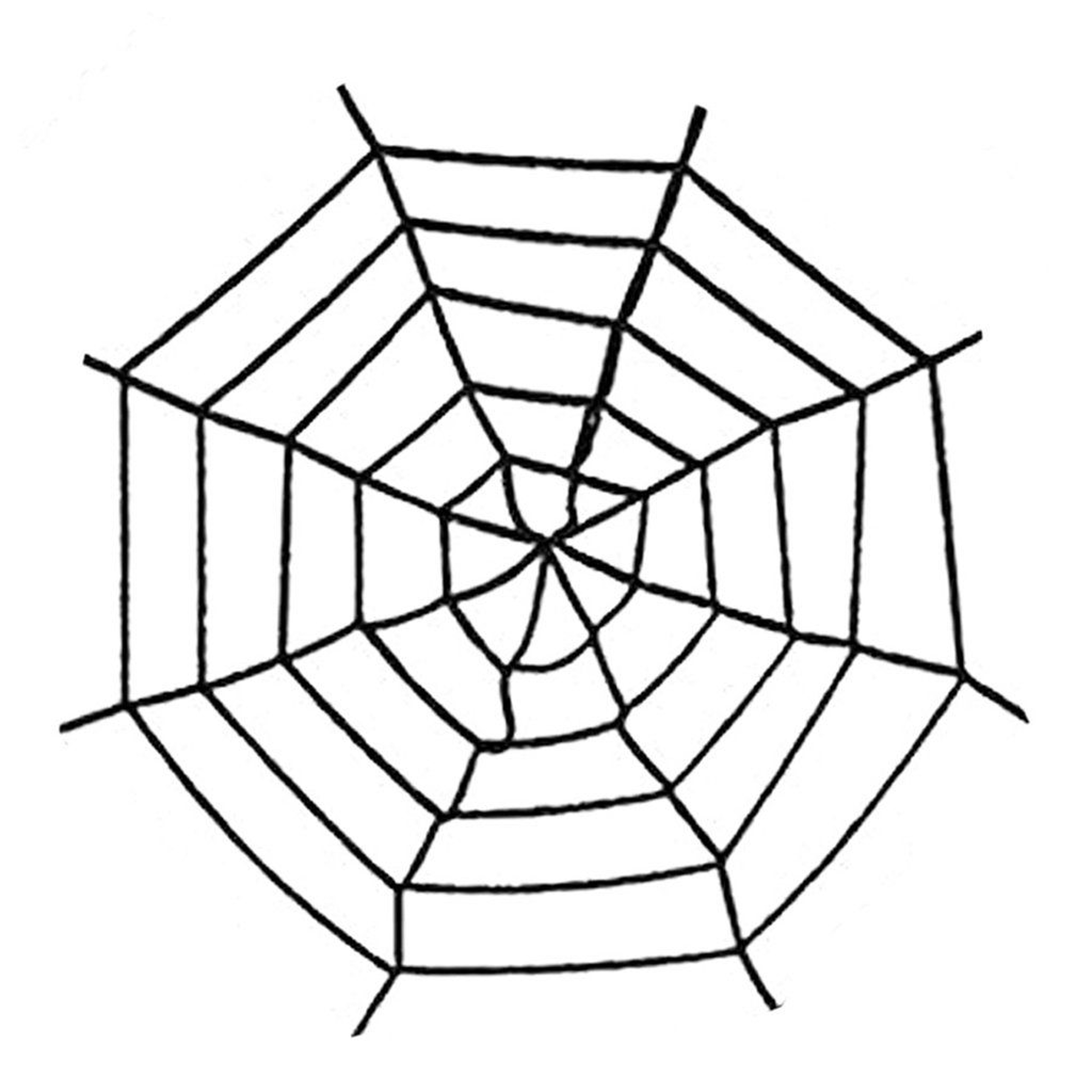 Giant Furry Halloween Spider With Web Set For Indoor And Outdoor Decorations 3