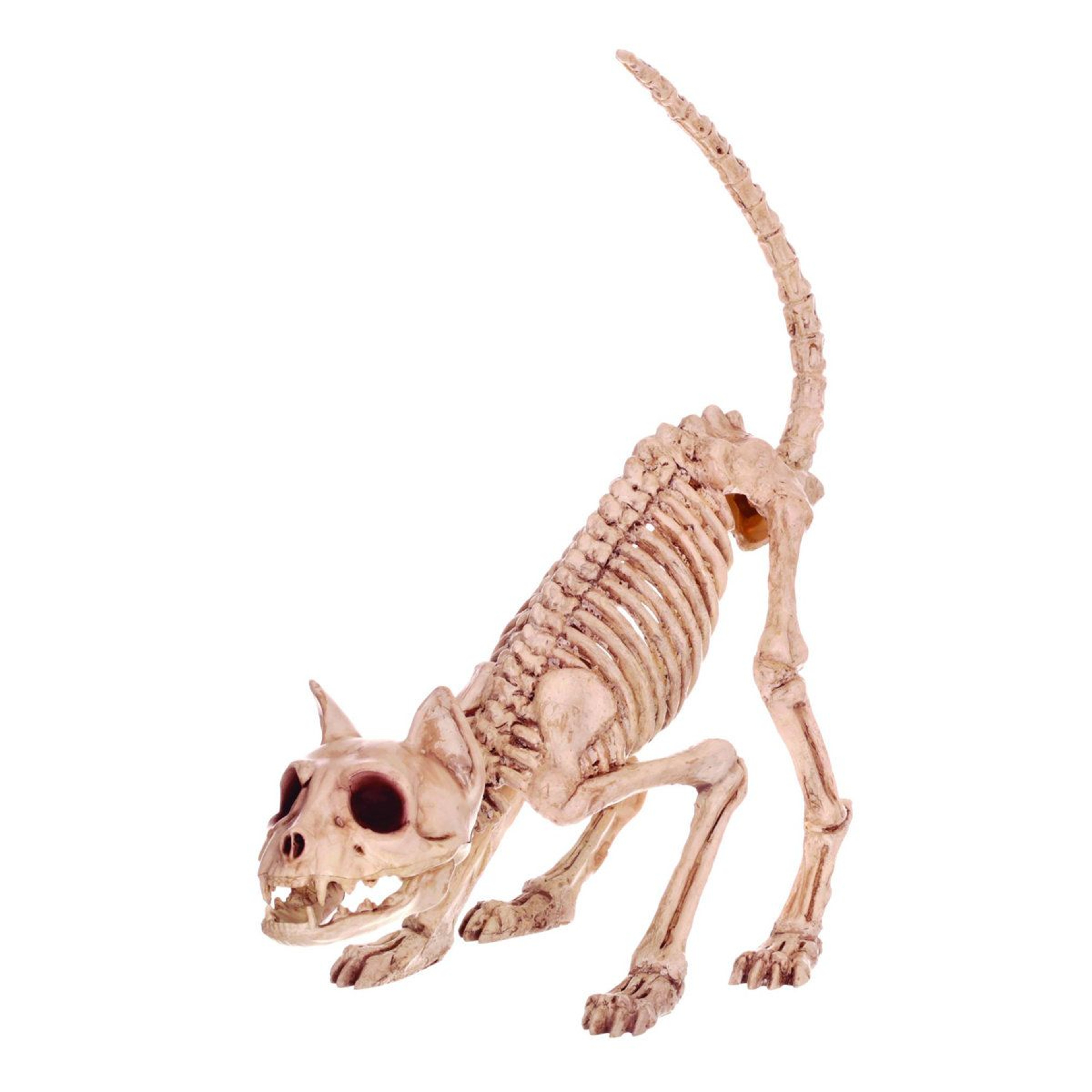 Halloween Skeleton Figurine White Plastic Outdoor 0