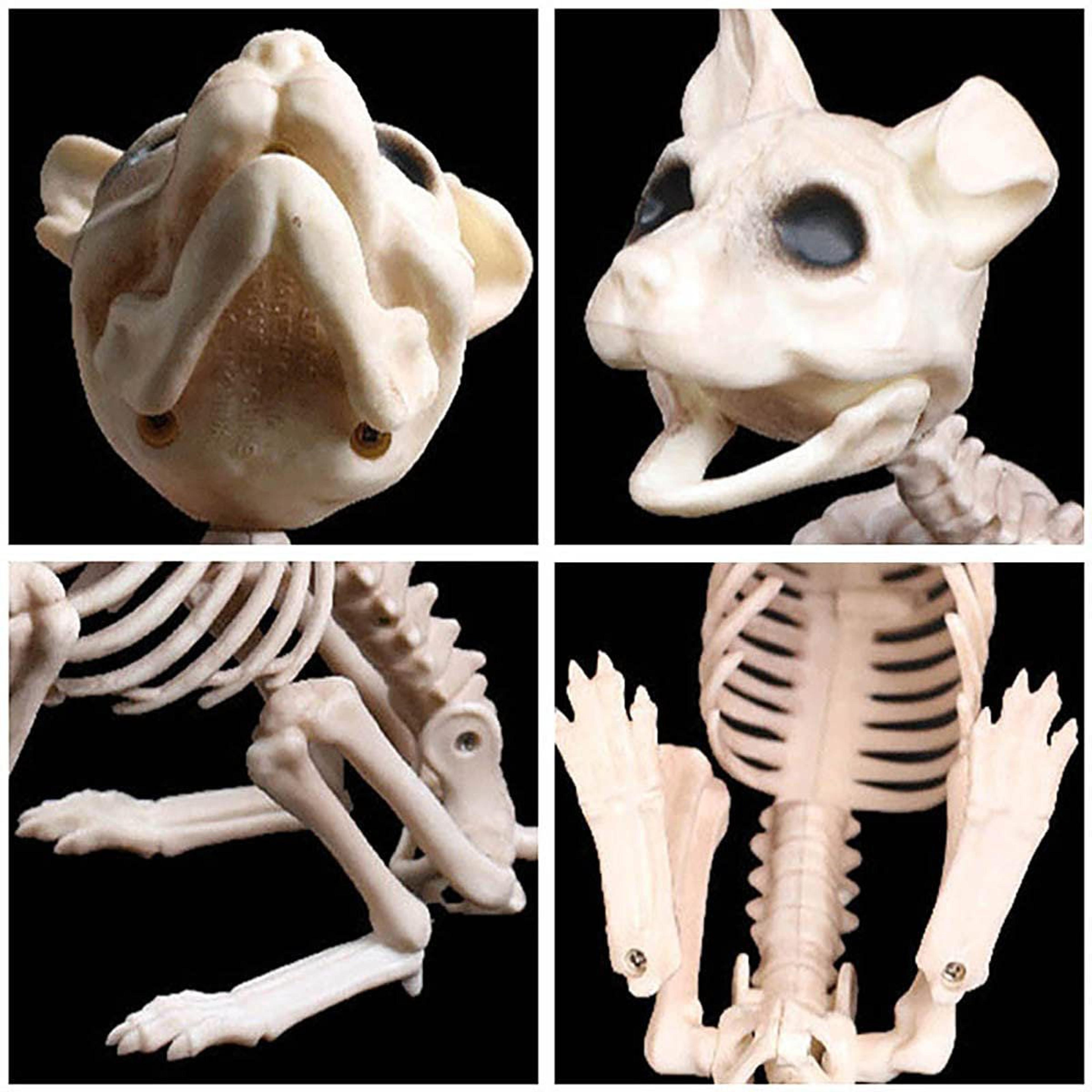 Plastic Halloween Skeleton Figurine White Outdoor Decoration 2