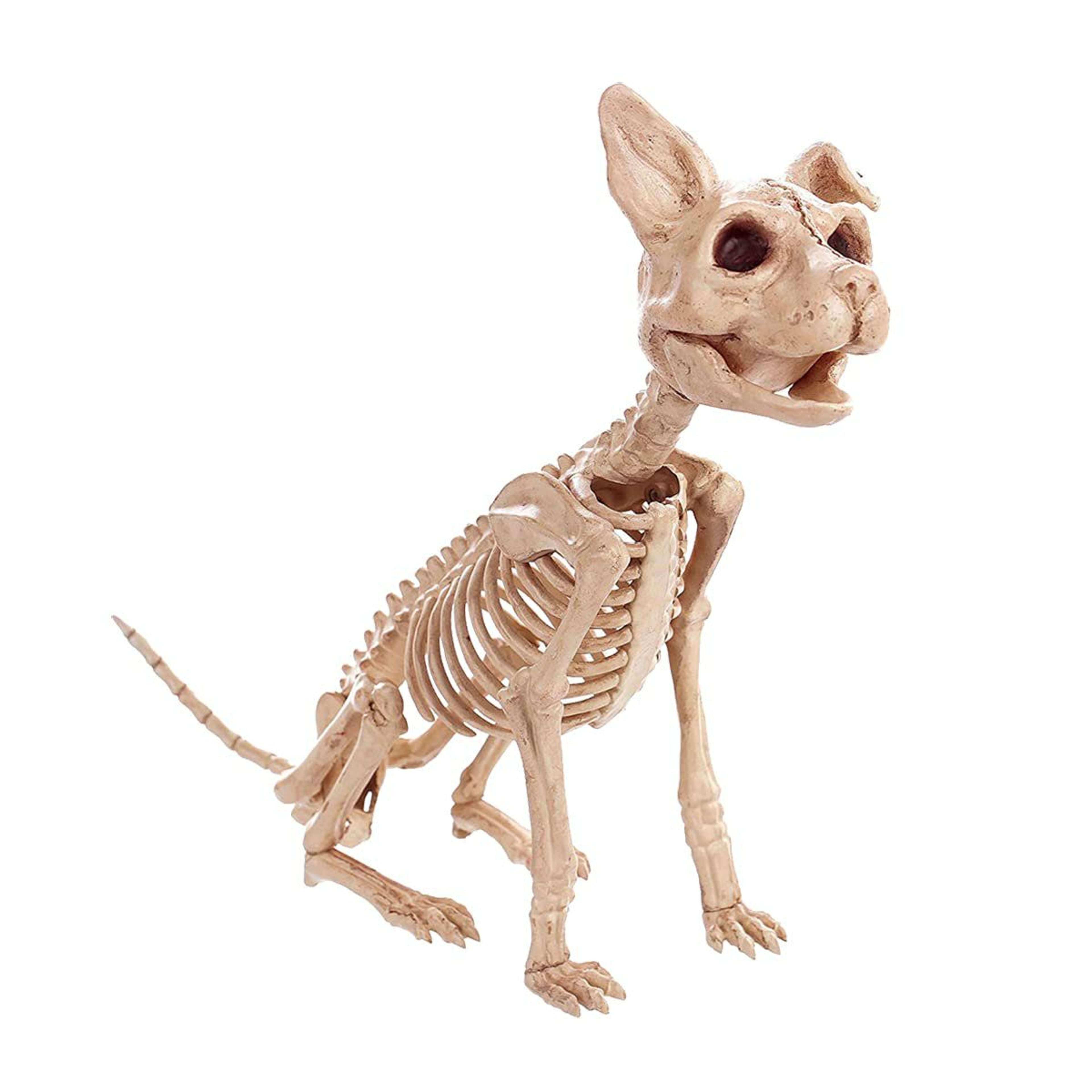 Plastic Halloween Skeleton Figurine White Outdoor Decoration 0