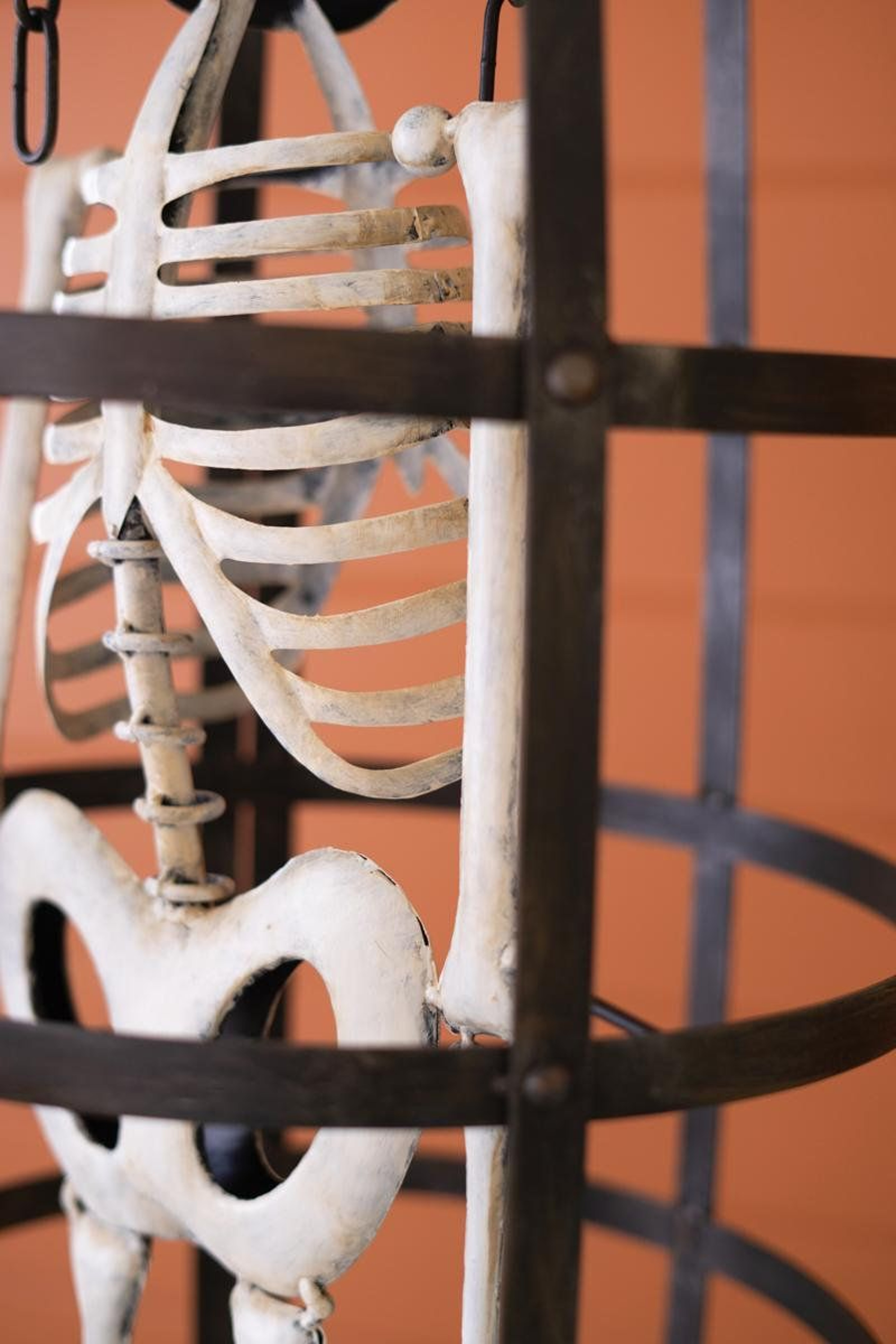 Halloween Skeleton In A Cage Indoor Decoration 5