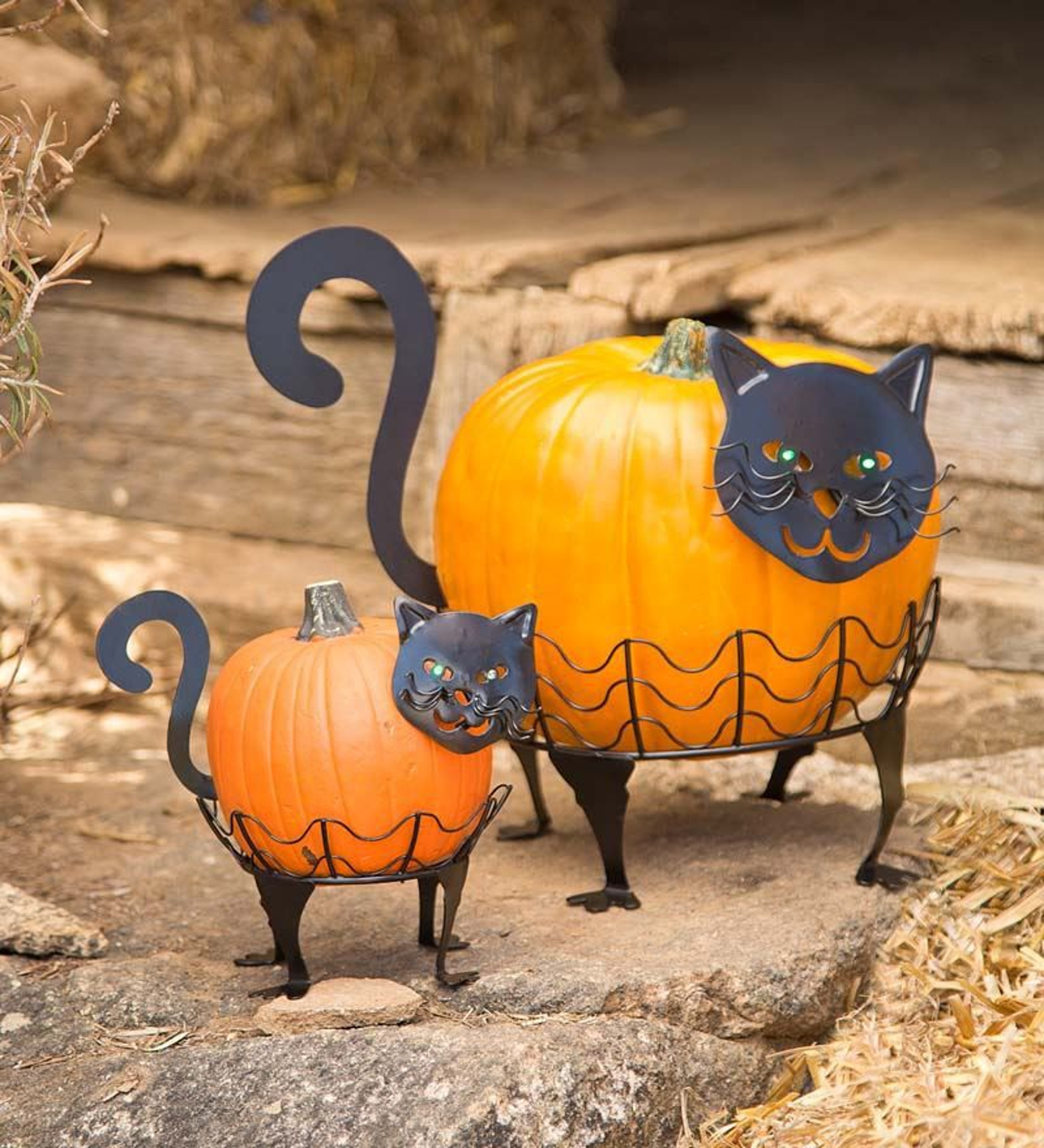 Cat Pumpkin Holder Figurine Set With LED Lights And Metal Design 0