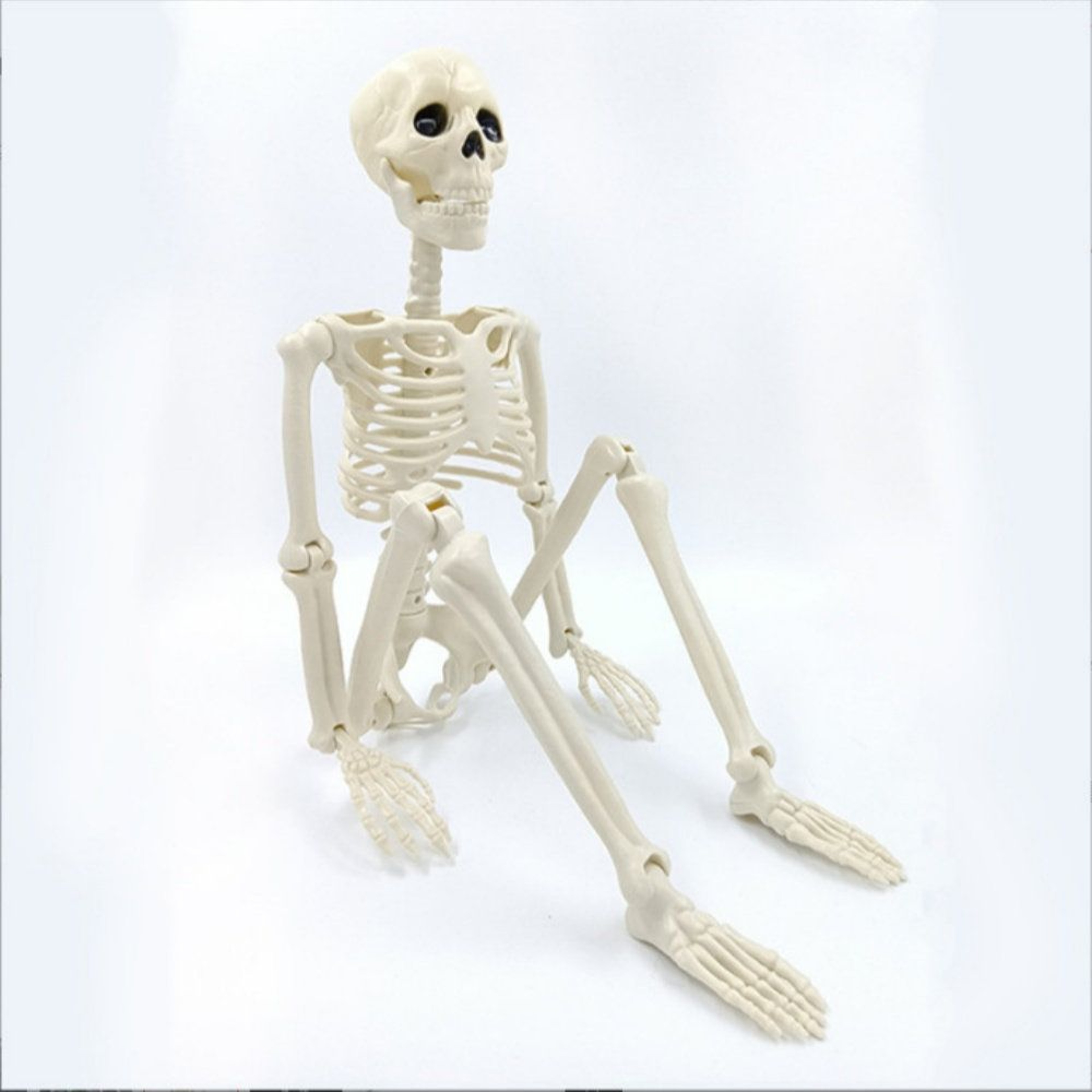 Halloween Skeleton Decoration With Posable Joints And Full Body Design 3