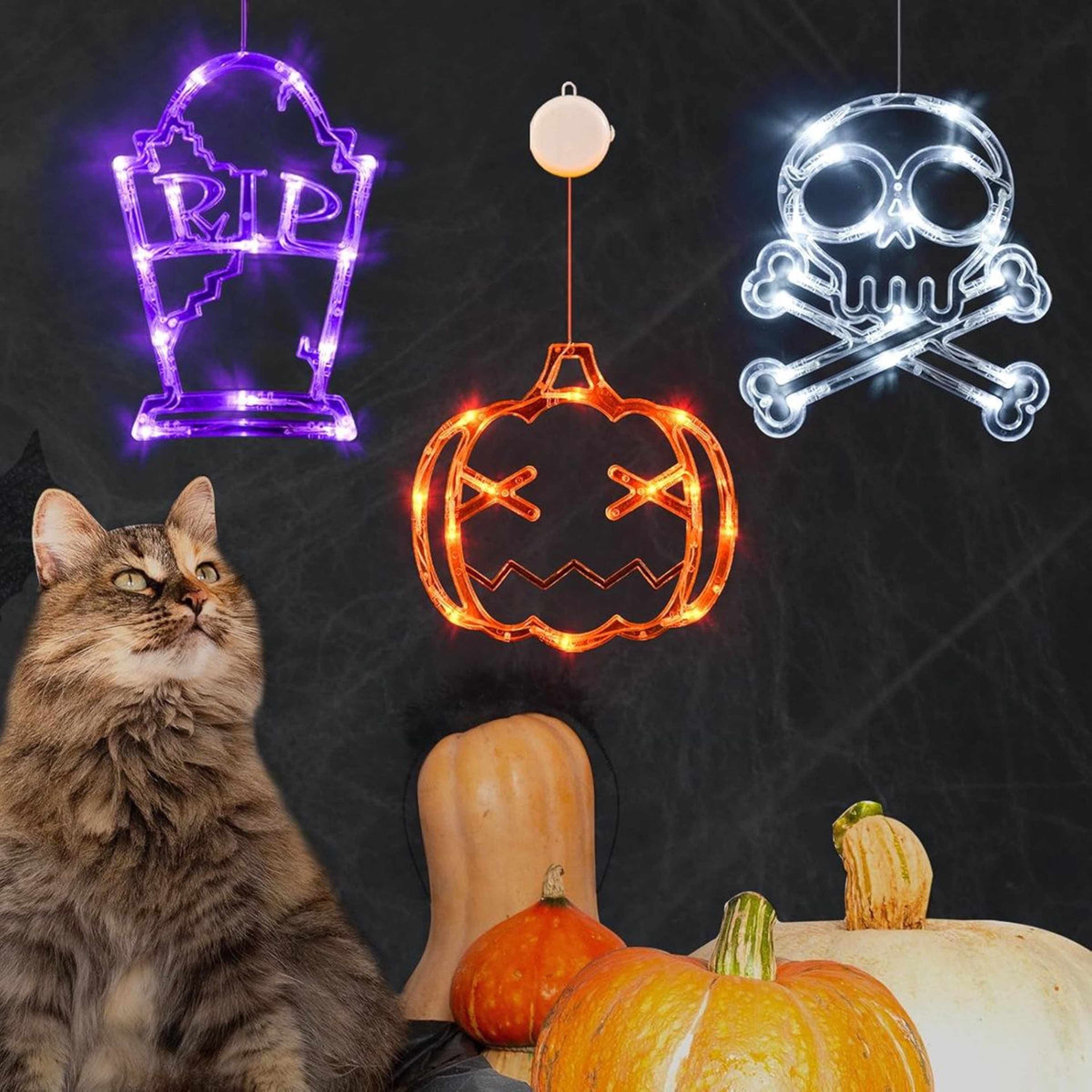 Halloween Window Lights With Pumpkin Skull And Tombstone Designs 5