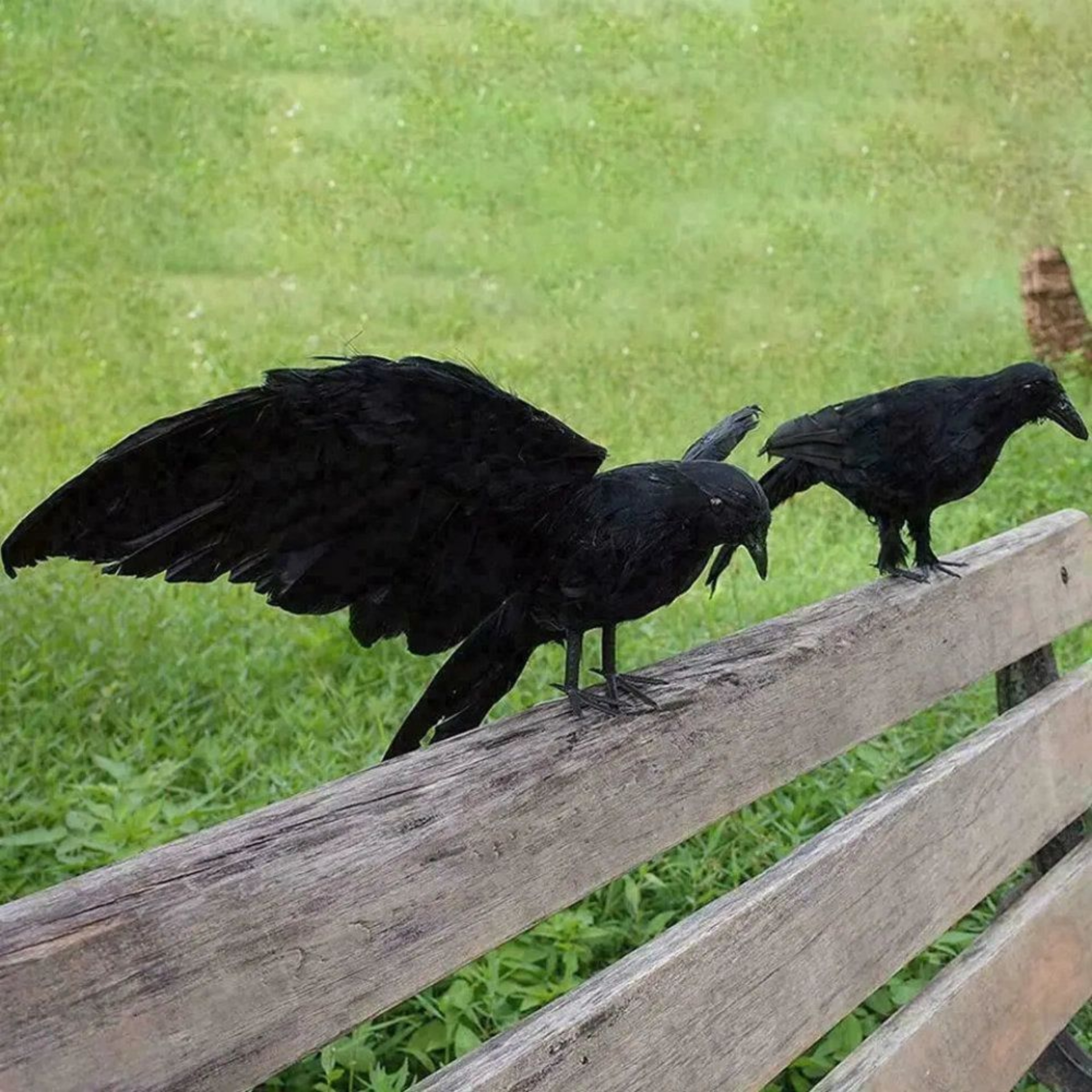 Halloween Crow Decorations Black Raven Props For Indoor And Outdoor Decor 4