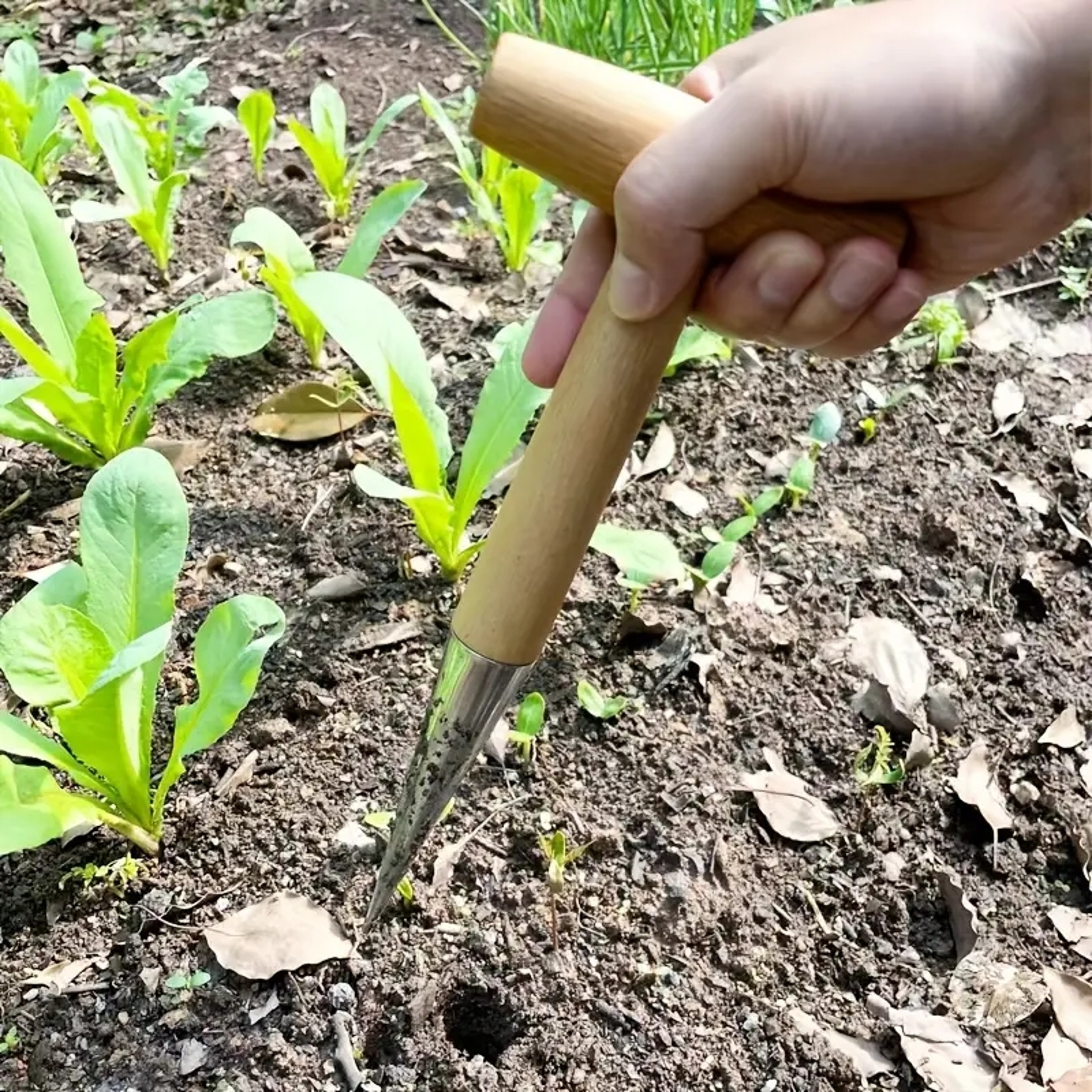 Premium Garden Dibber Wooden Handle Seed Planting Tool for Bulbs, Seedlings & Garden Transplanting – view 1