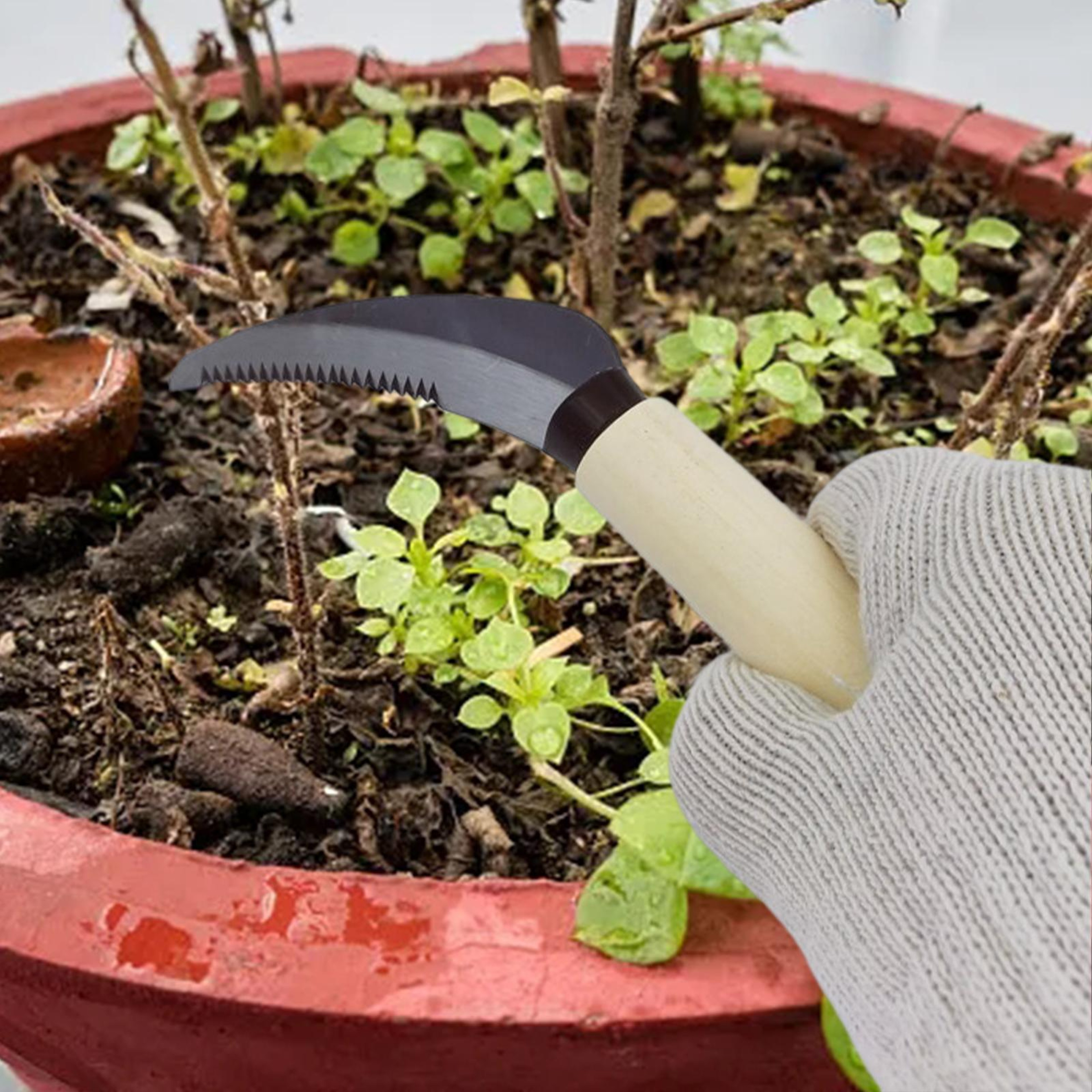 Heavy Duty Garden Weeding Sickle with Wooden Handle for Crack Weeding, Lawn & Farm Maintenance – view 2
