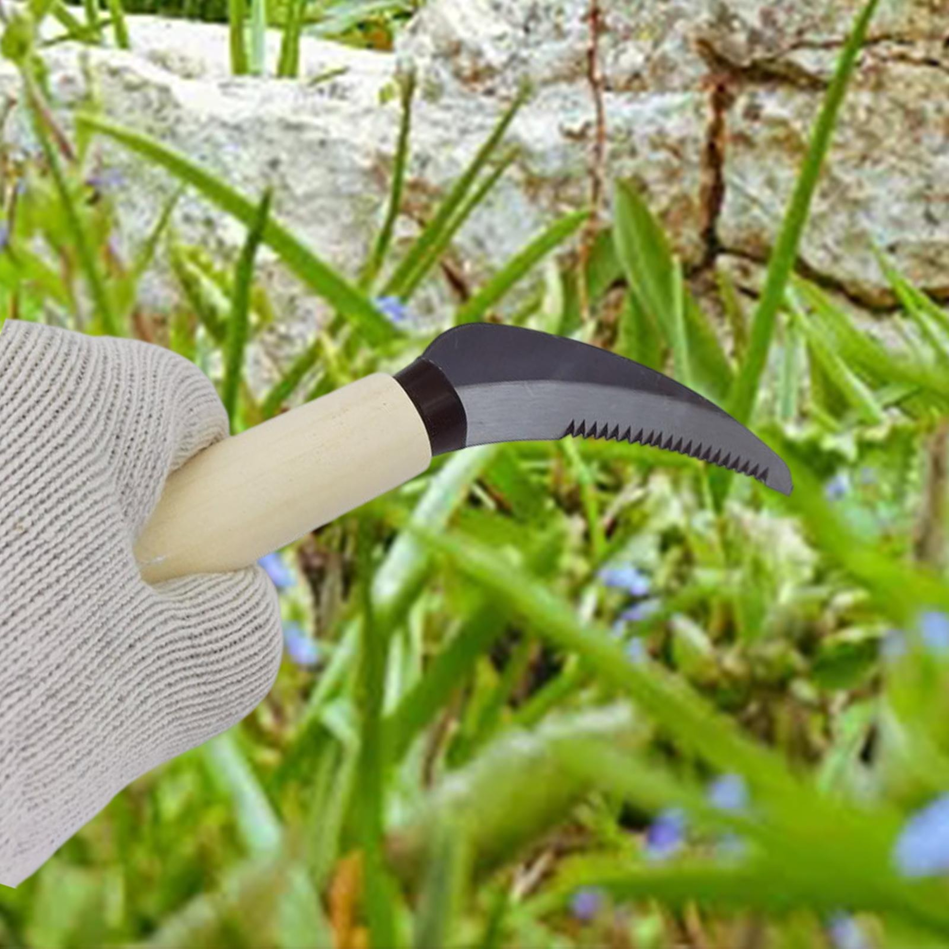 Heavy Duty Garden Weeding Sickle with Wooden Handle for Crack Weeding, Lawn & Farm Maintenance – view 3