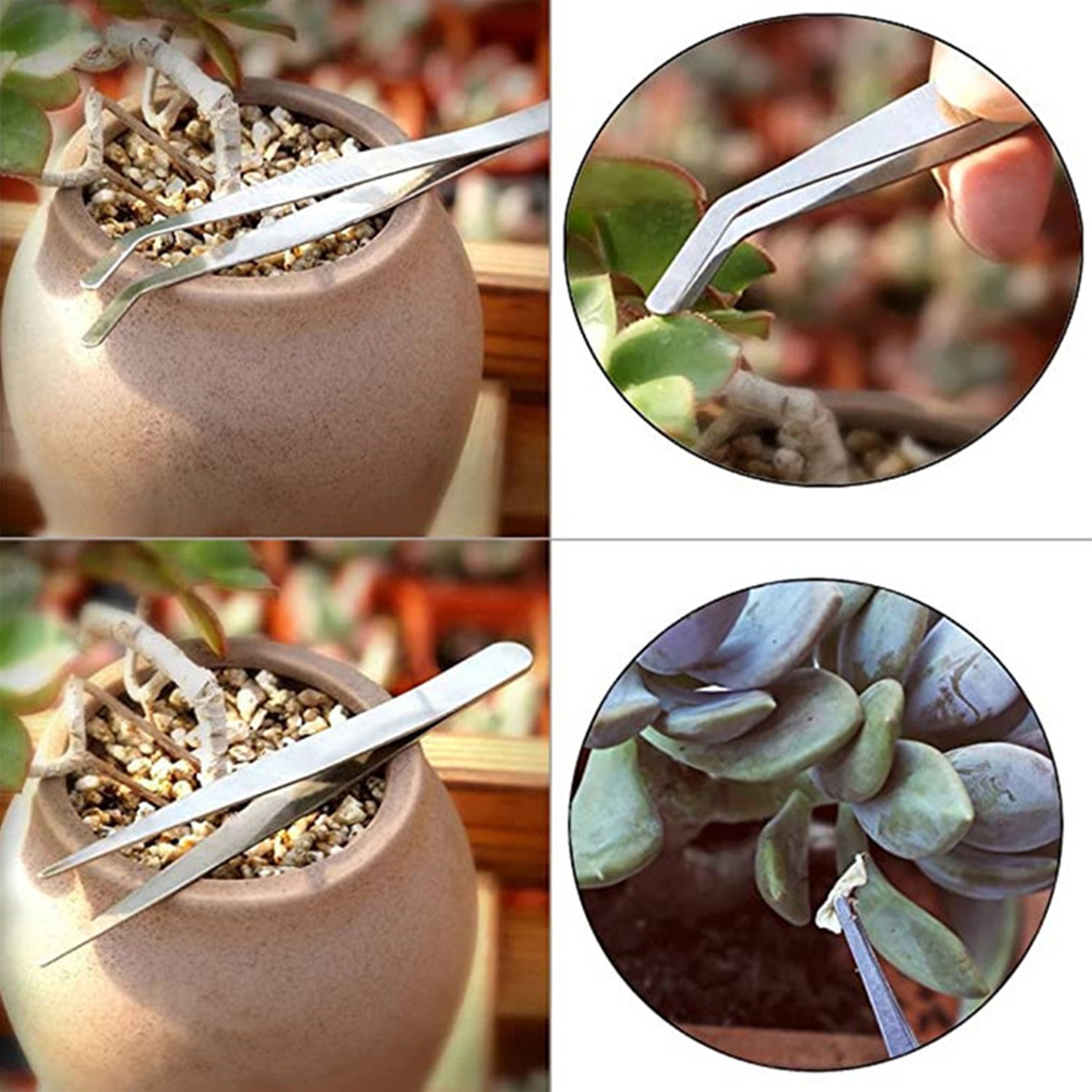 Mini Succulent Tool Kit for Bonsai, Cactus & Indoor Plant Transplanting – view 6