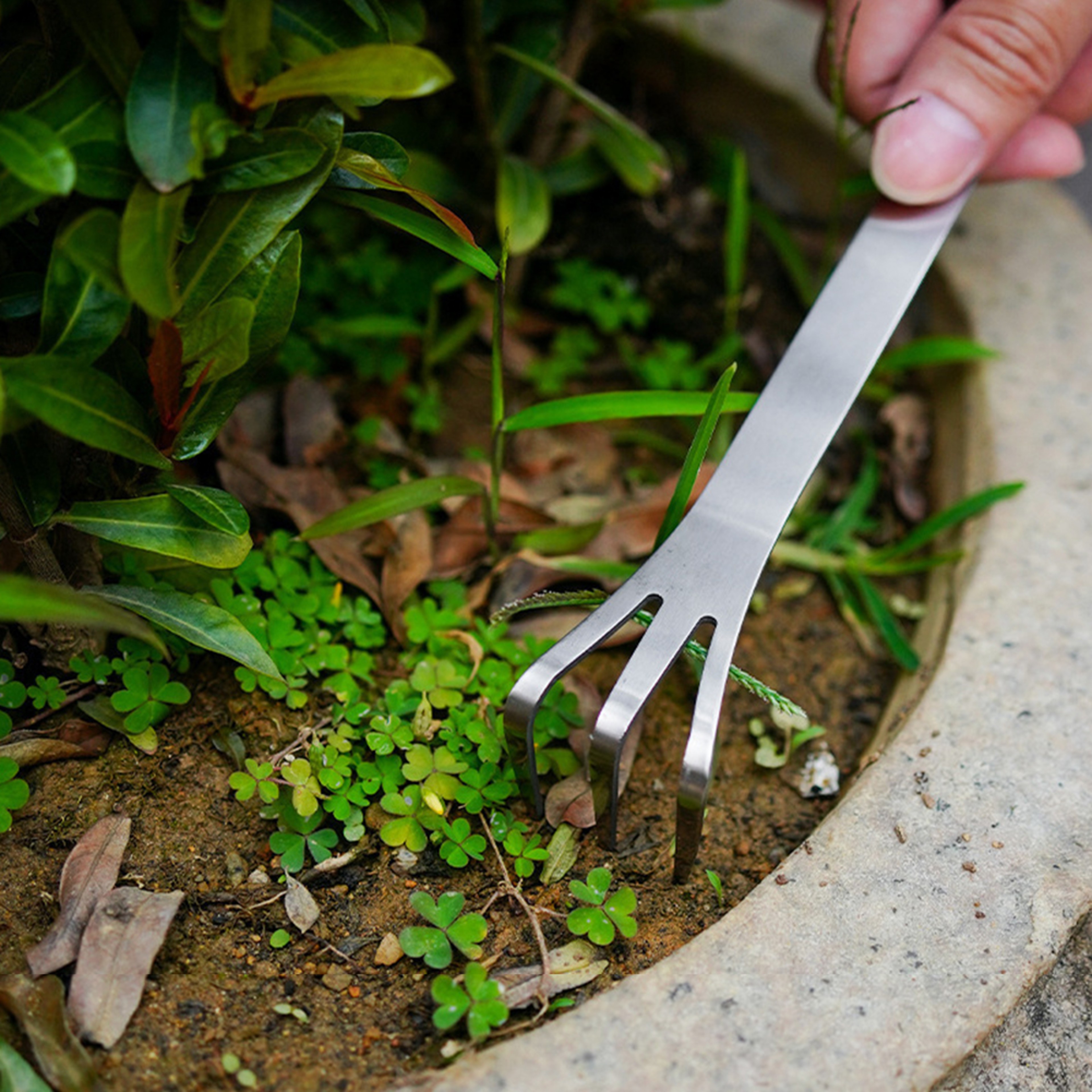 Stainless Steel Bonsai Rake Prong Soil Loosening Tool for Potted Plants & Indoor Gardening – view 5