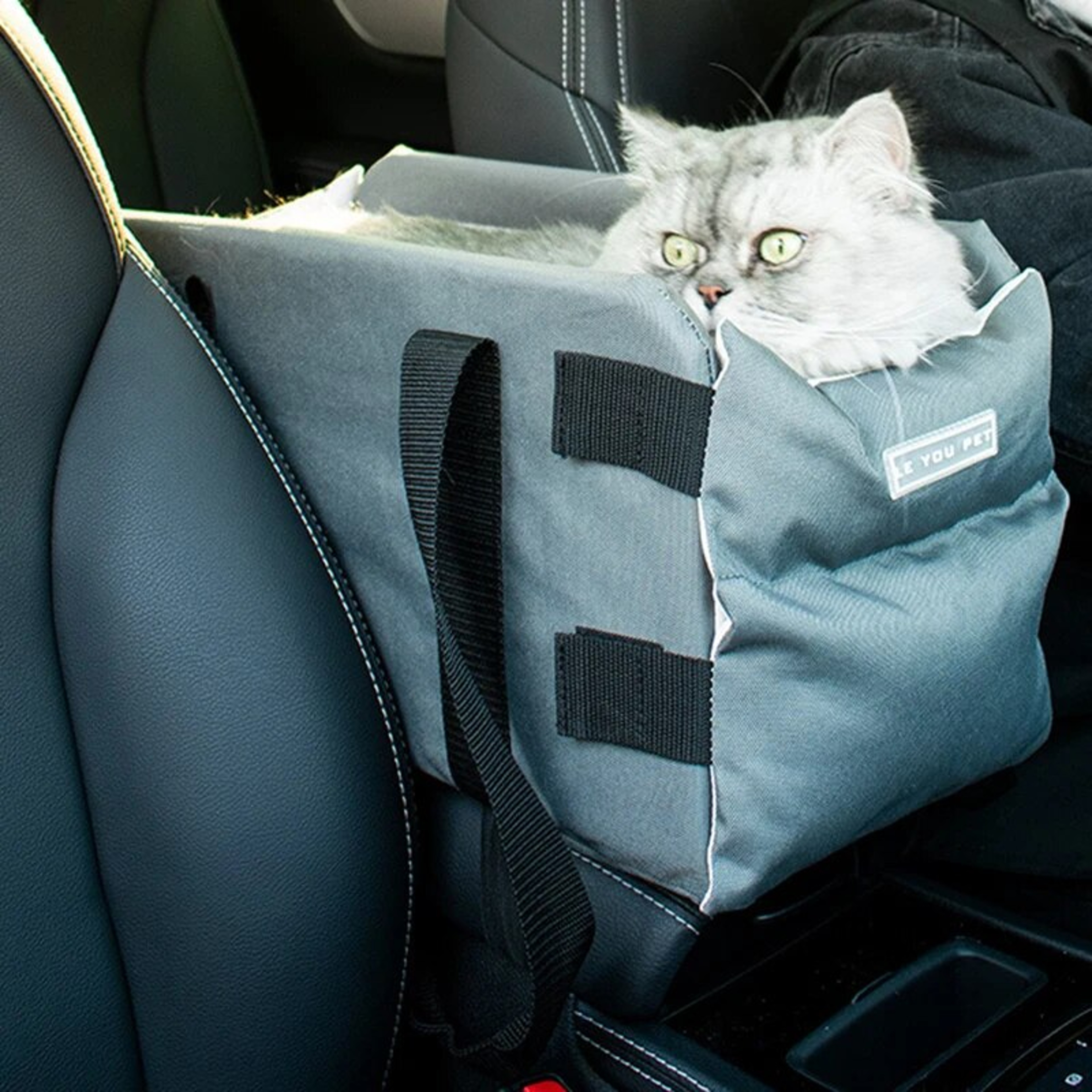 Portable Pet Car Seat: Safe Nonslip Carrier for Small Dog/Cat Travel – view 3