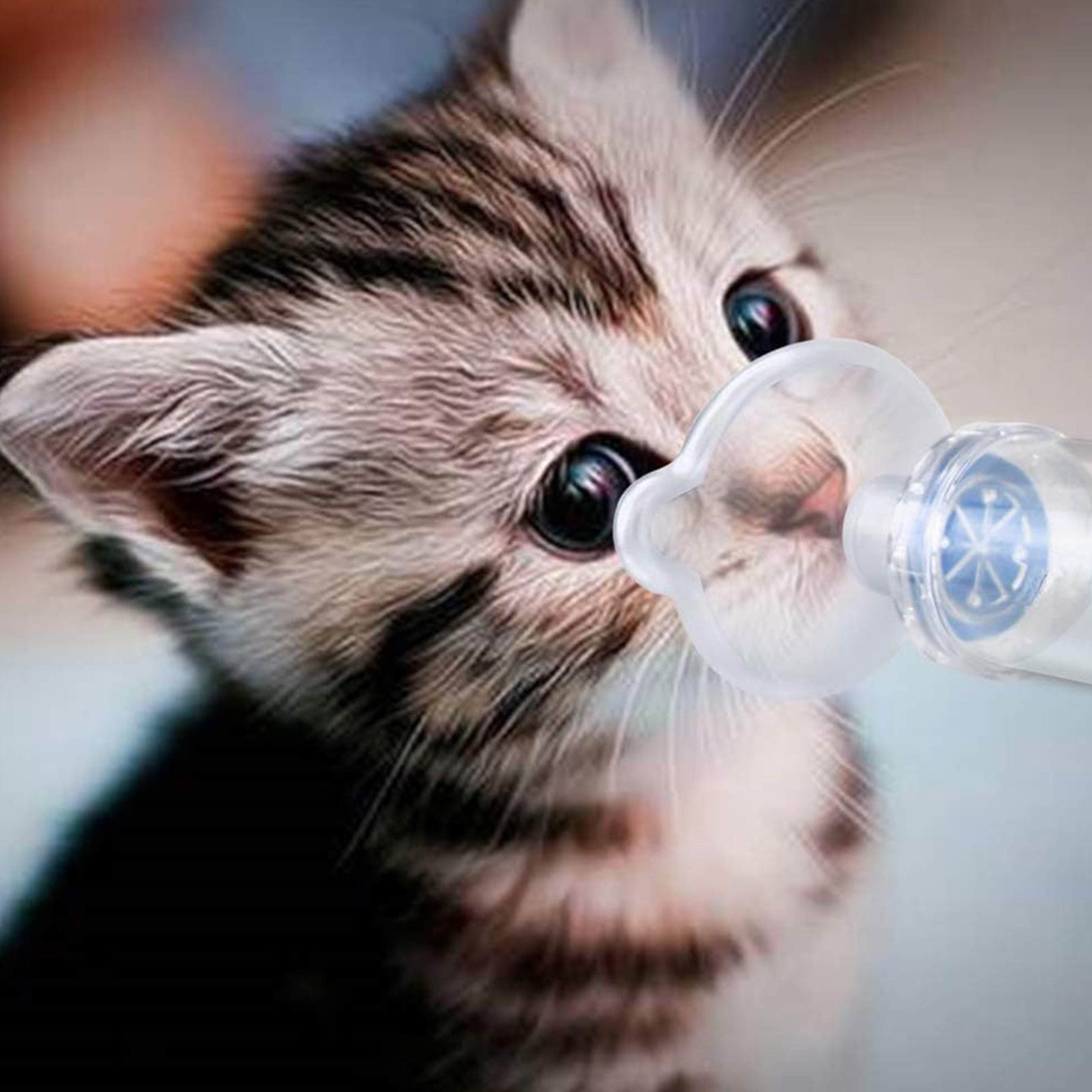 Pet Inhaler Spacer Chamber with PVC Mask for Cats & Dogs – view 2