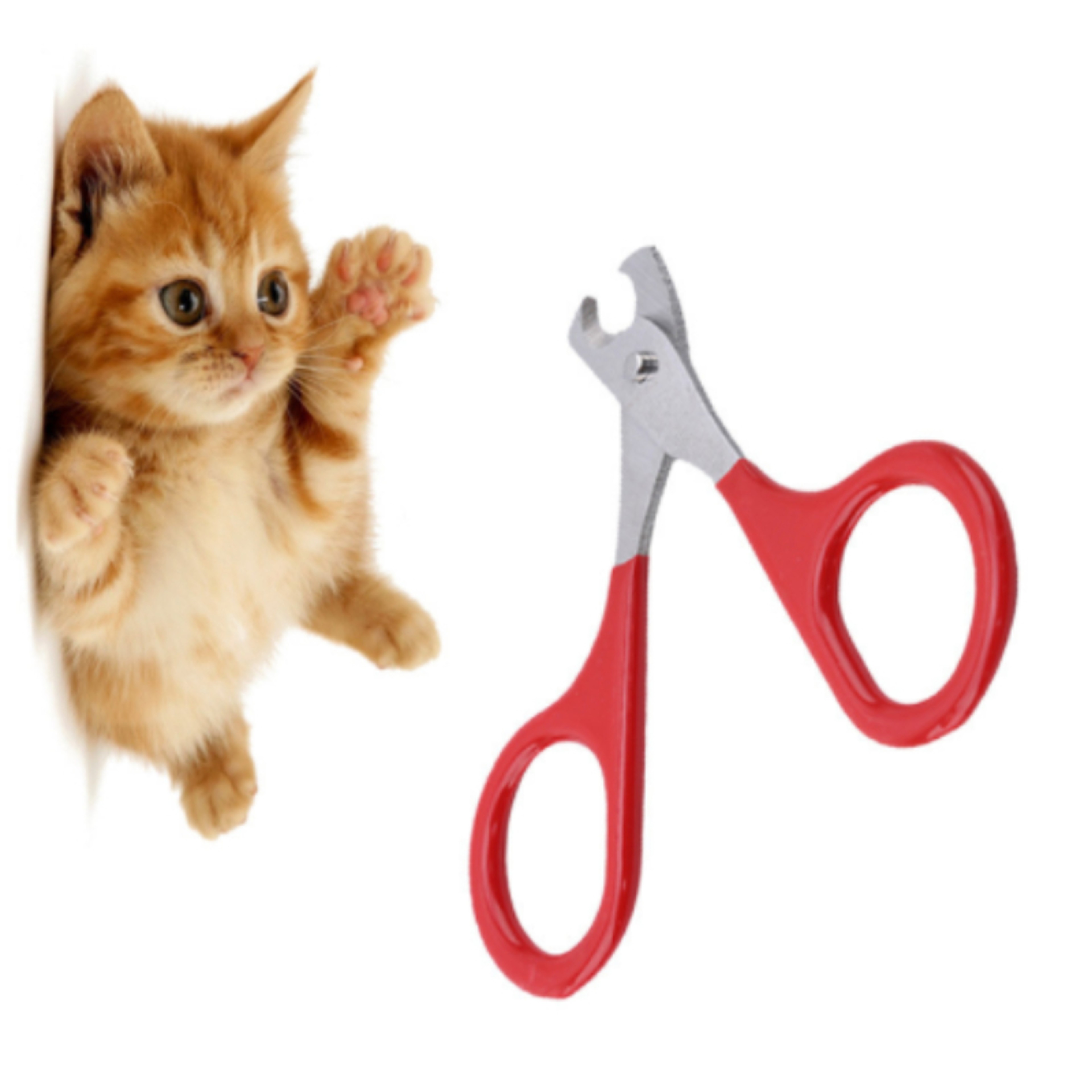 Professional Cat Nail Clippers Pet Nail Trimmer for Cats, Kittens & Small Dogs – view 4