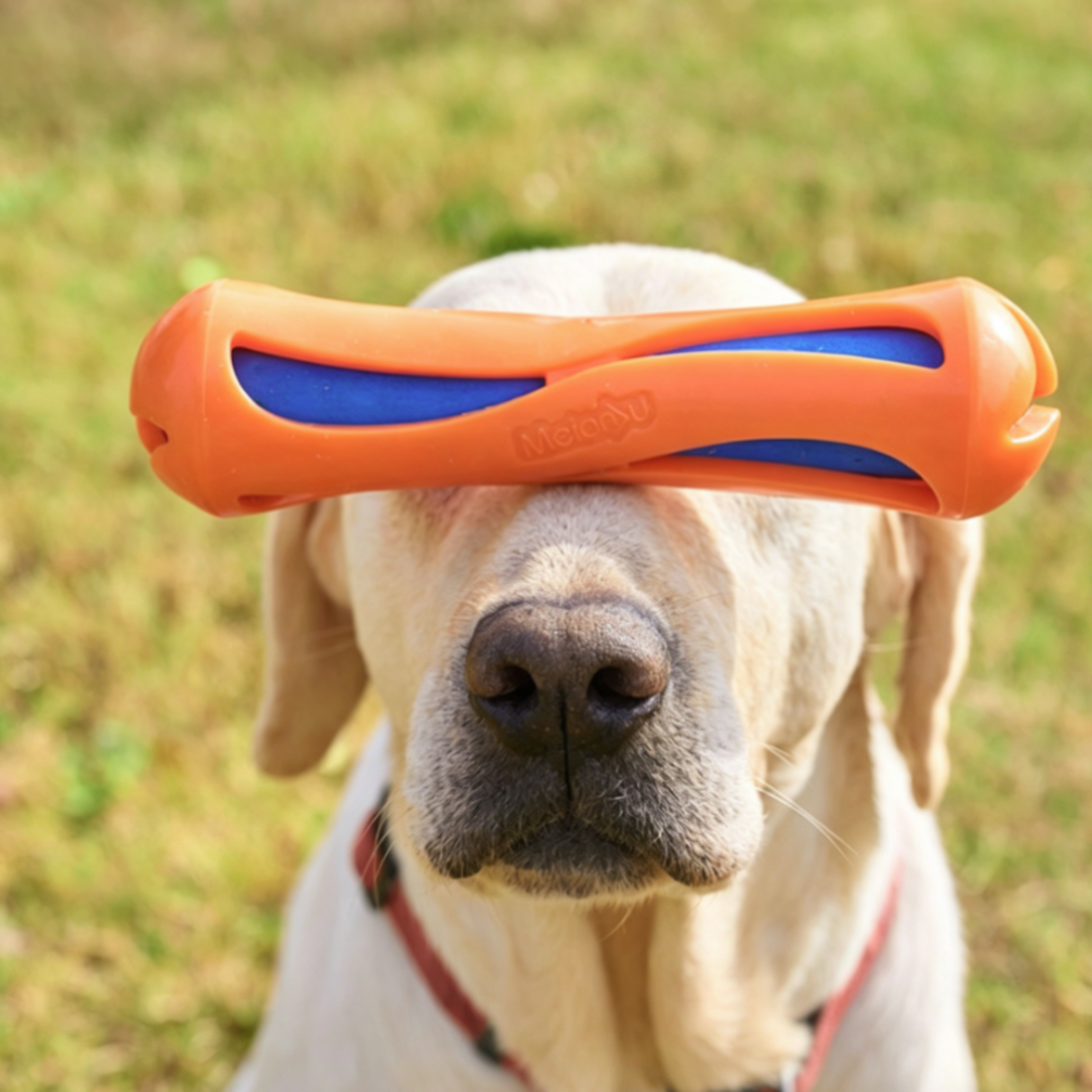 Floating Dog Water Toy Stick Interactive Dog Fetch Toy for Swimming, Training & Chewing – view 2