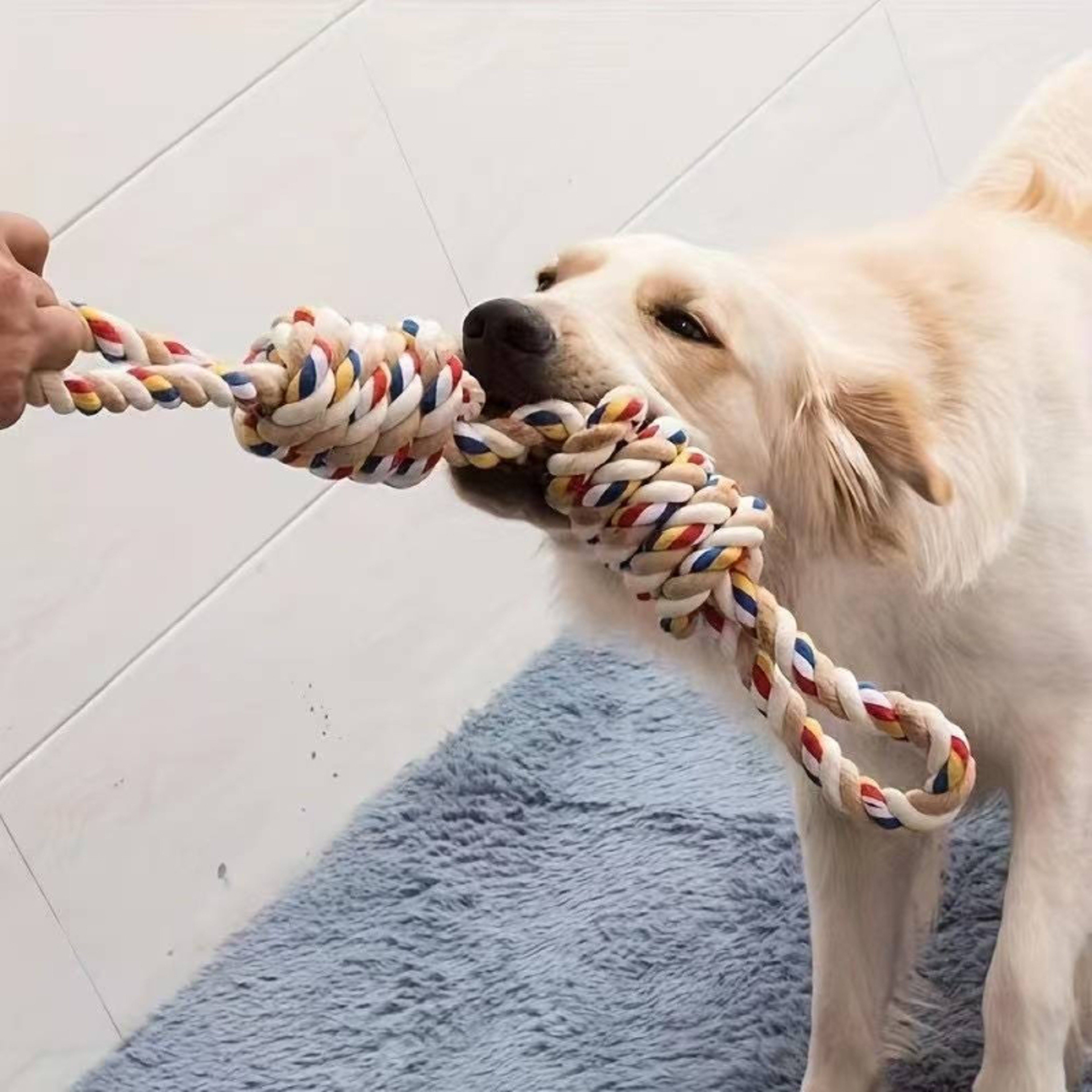 Dog Rope Toy for Teeth Cleaning, Interactive Tug & Durable Cotton Dog Chew Toy – view 2