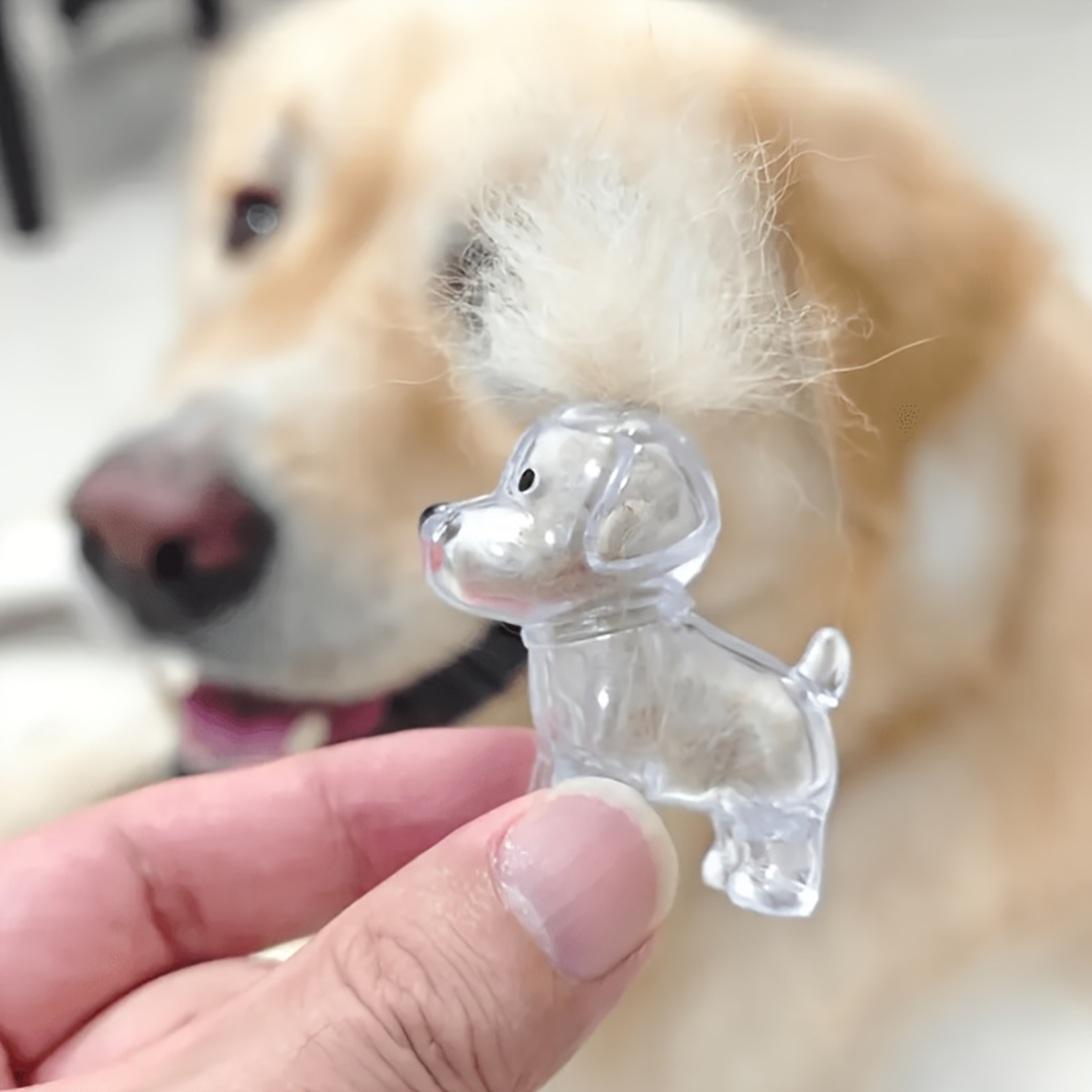 Pet Hair Memorial Capsule Keychain Clear Dog Fur Keepsake Pendant DIY Memory Charm 5