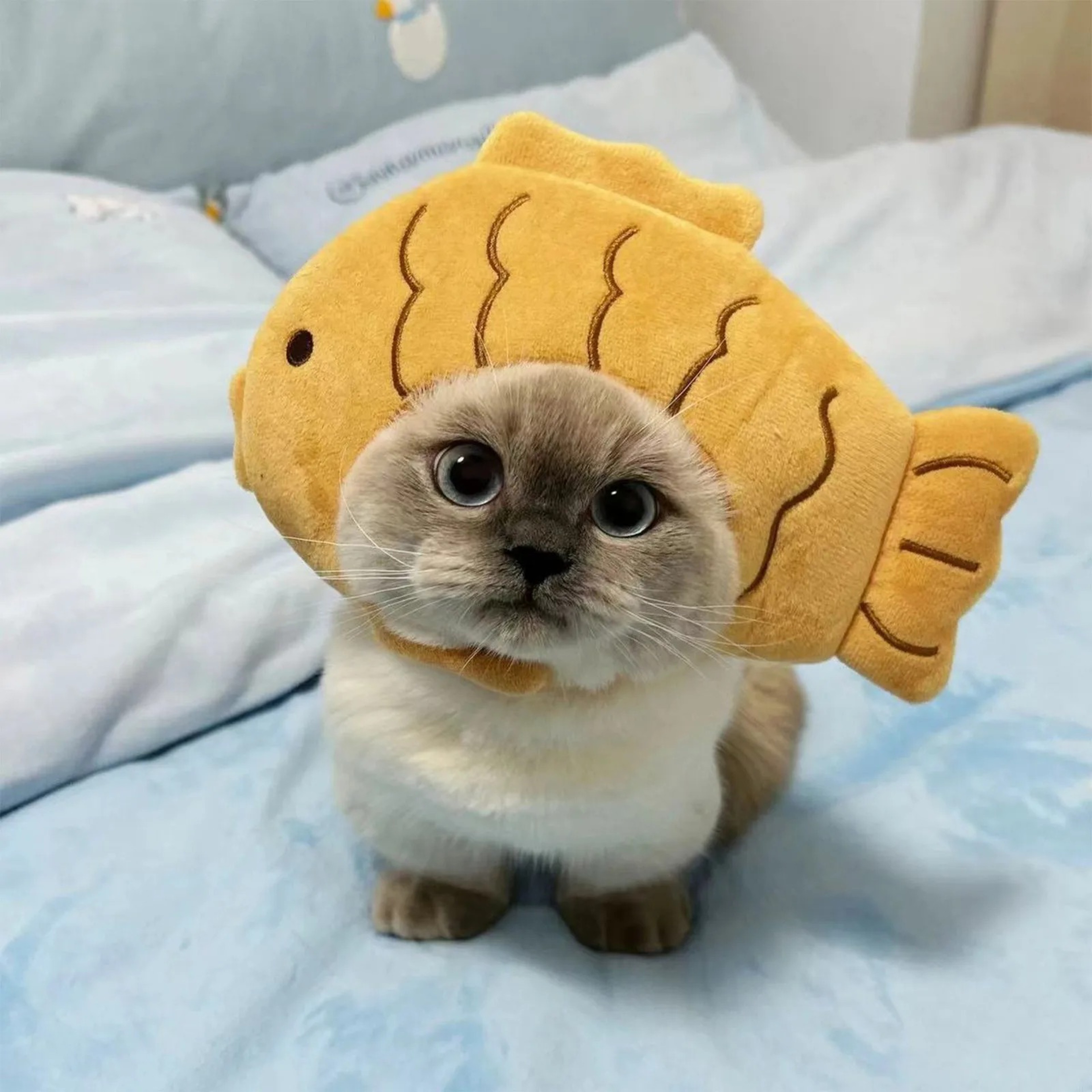 Plush Little Fish Cat Hat Cute Pet Costume Cap for Small Dogs & Cats – view 3
