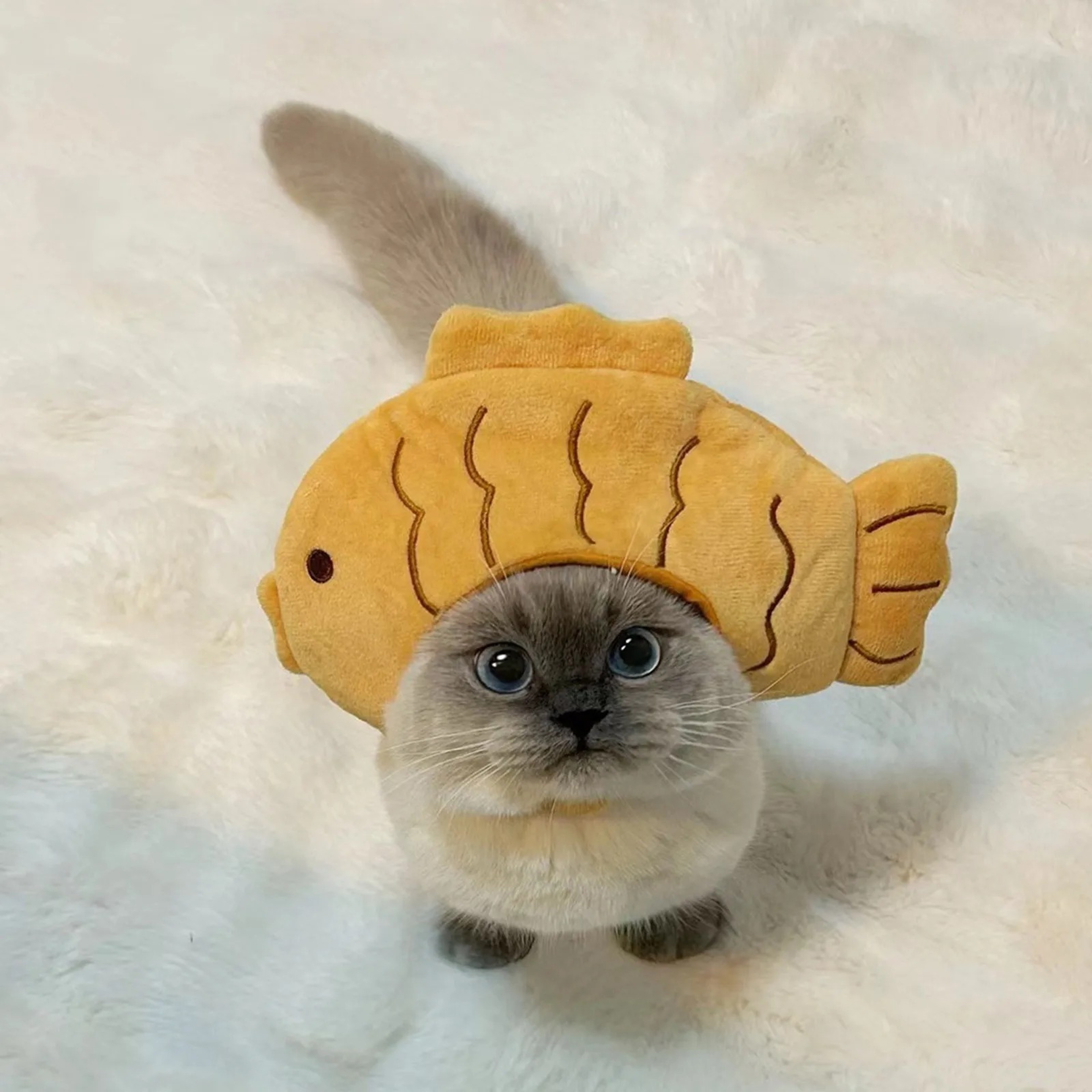 Funny Cat Costume Fish Hat Breathable Plush Pet Cat Hat for Cute Photos & Parties – view 3