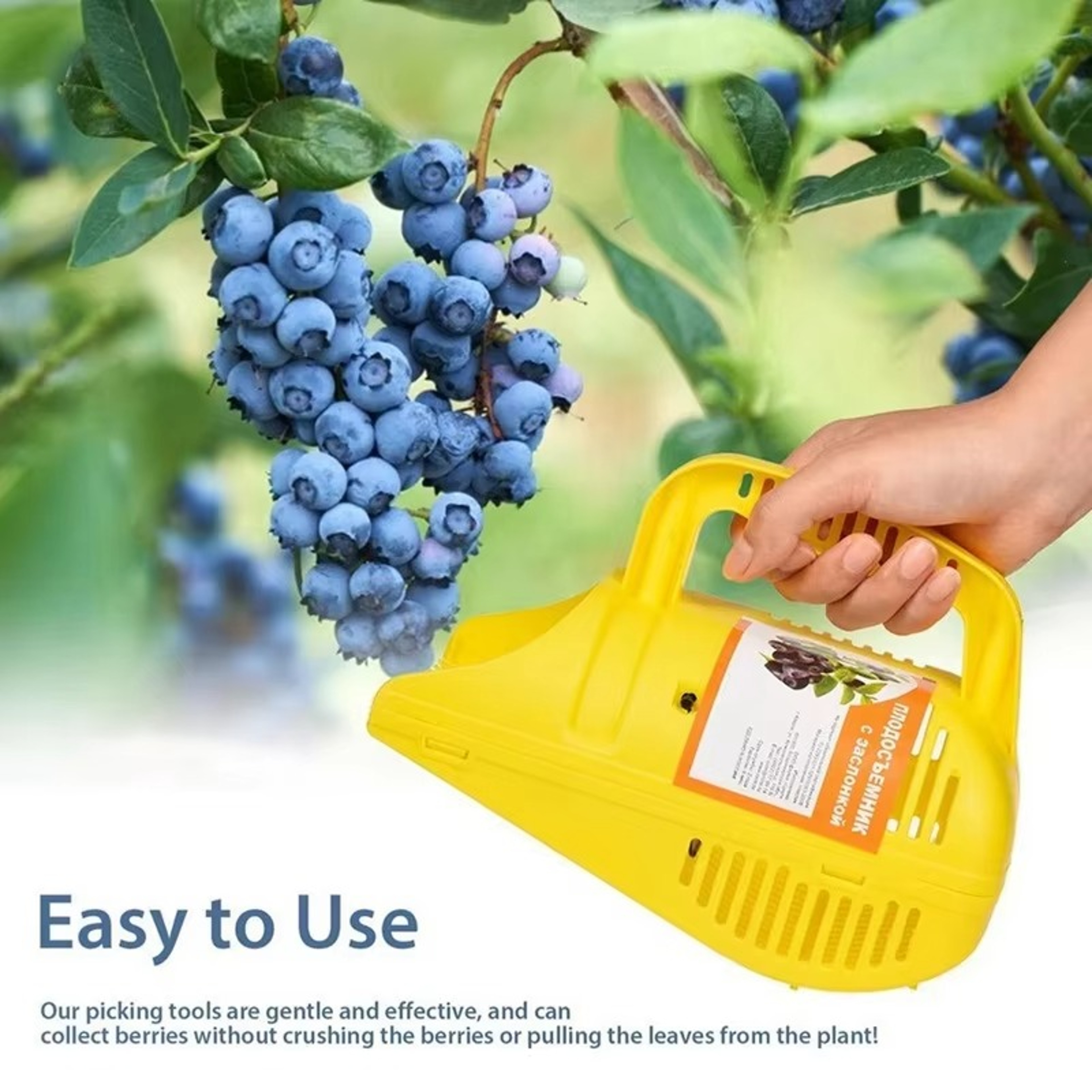 Blueberry Picker Rake With Comb Teeth  Lightweight Handheld Berry Harvesting Tool 5