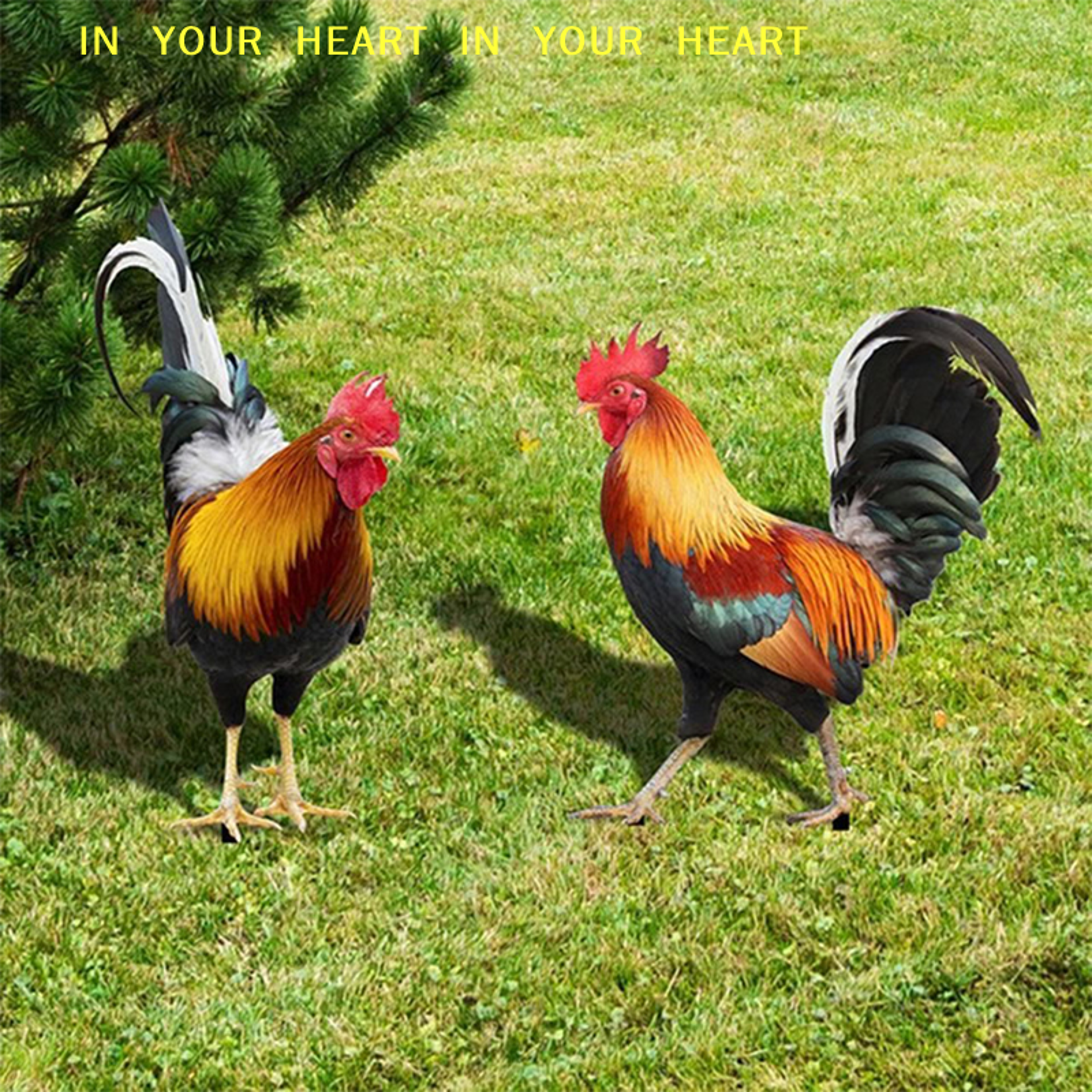 Weatherproof Garden Rooster Statue For Outdoor Yard And Patio Decor 3