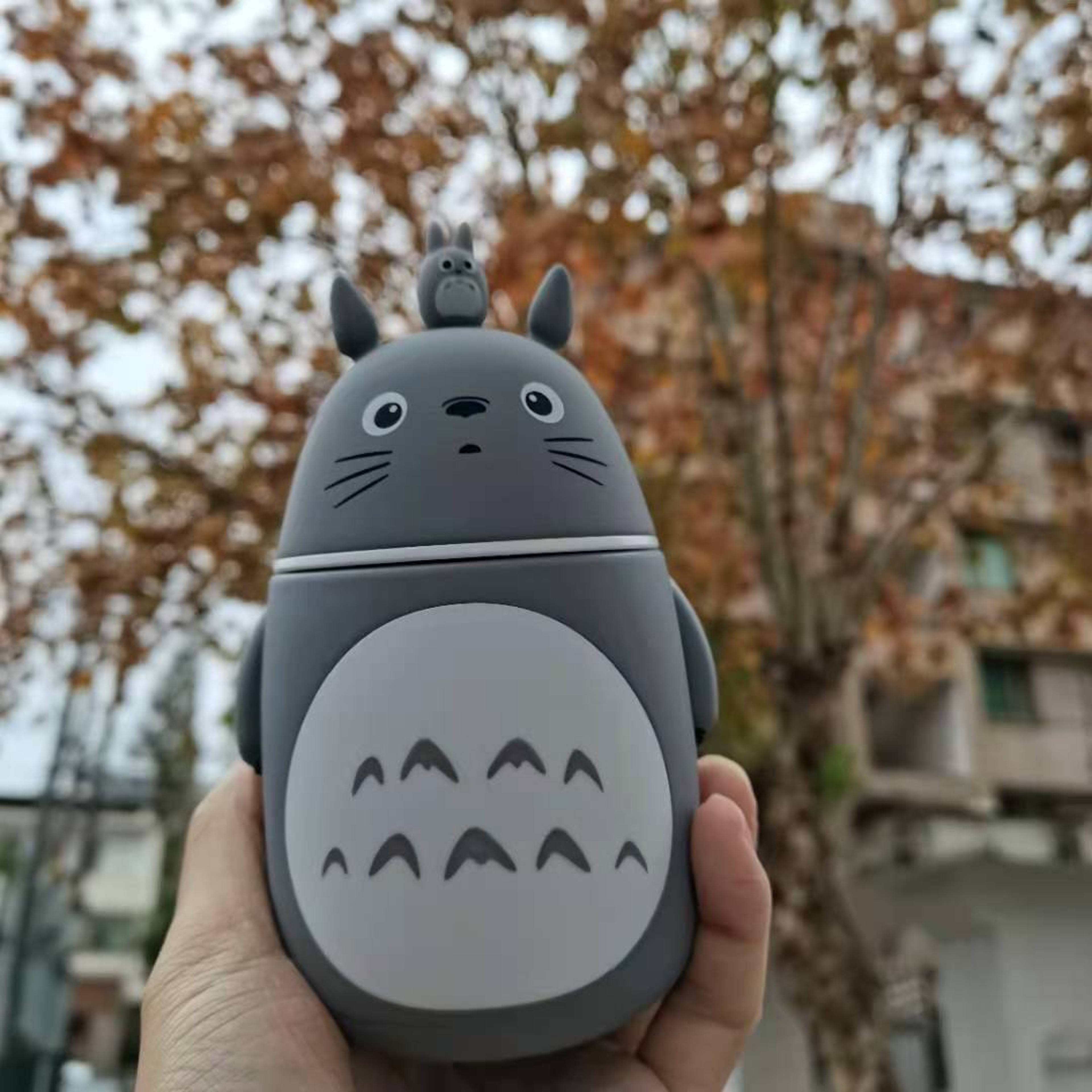 Kawaii Totoro Glass Cup Figurine Totoro Cup Collectible Anime Decor Gift 3