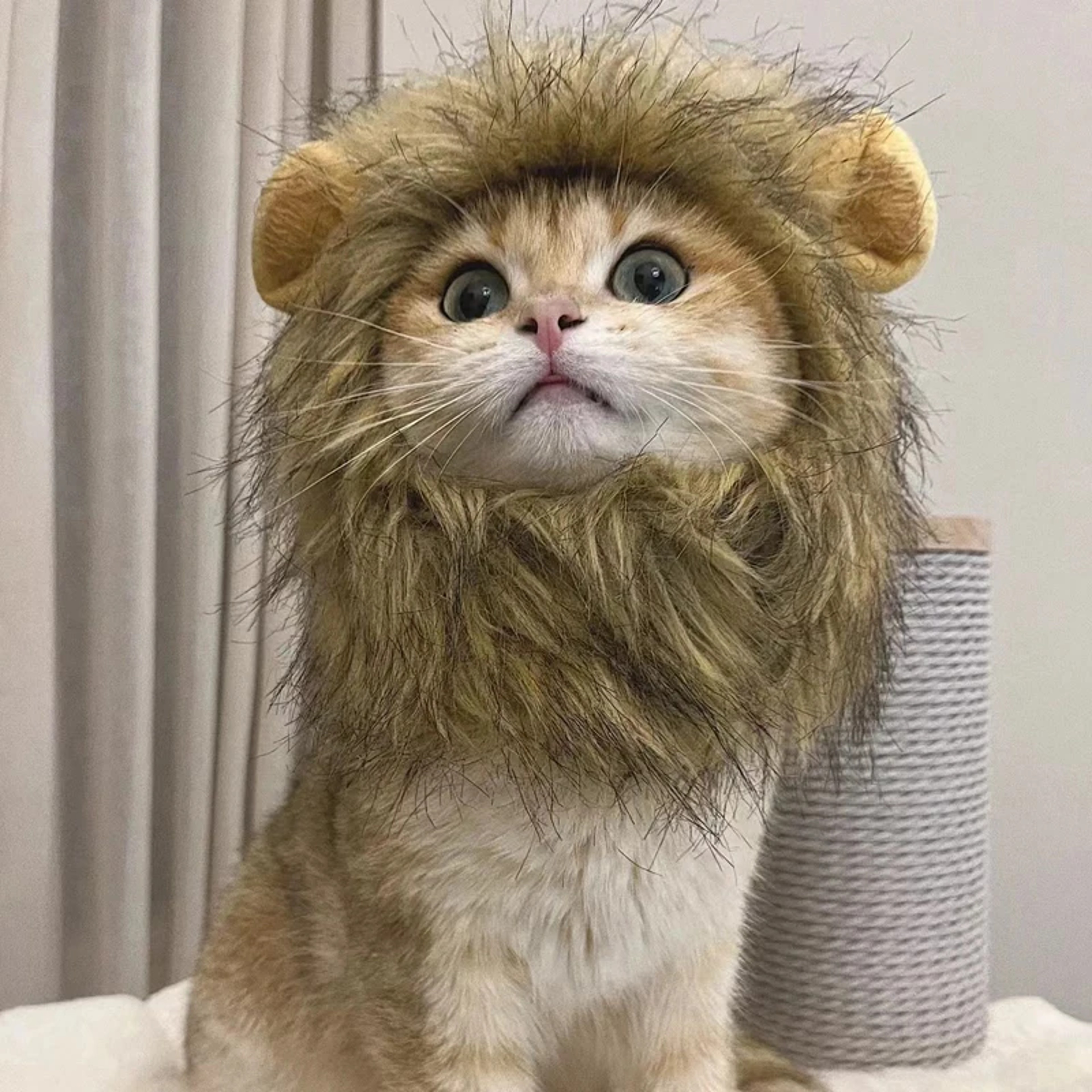 Funny Pets Clothes Hat Cute Cat Wig Lion Mane Costume for Cats & Dogs Cosplay Party Accessories with Ears – view 2