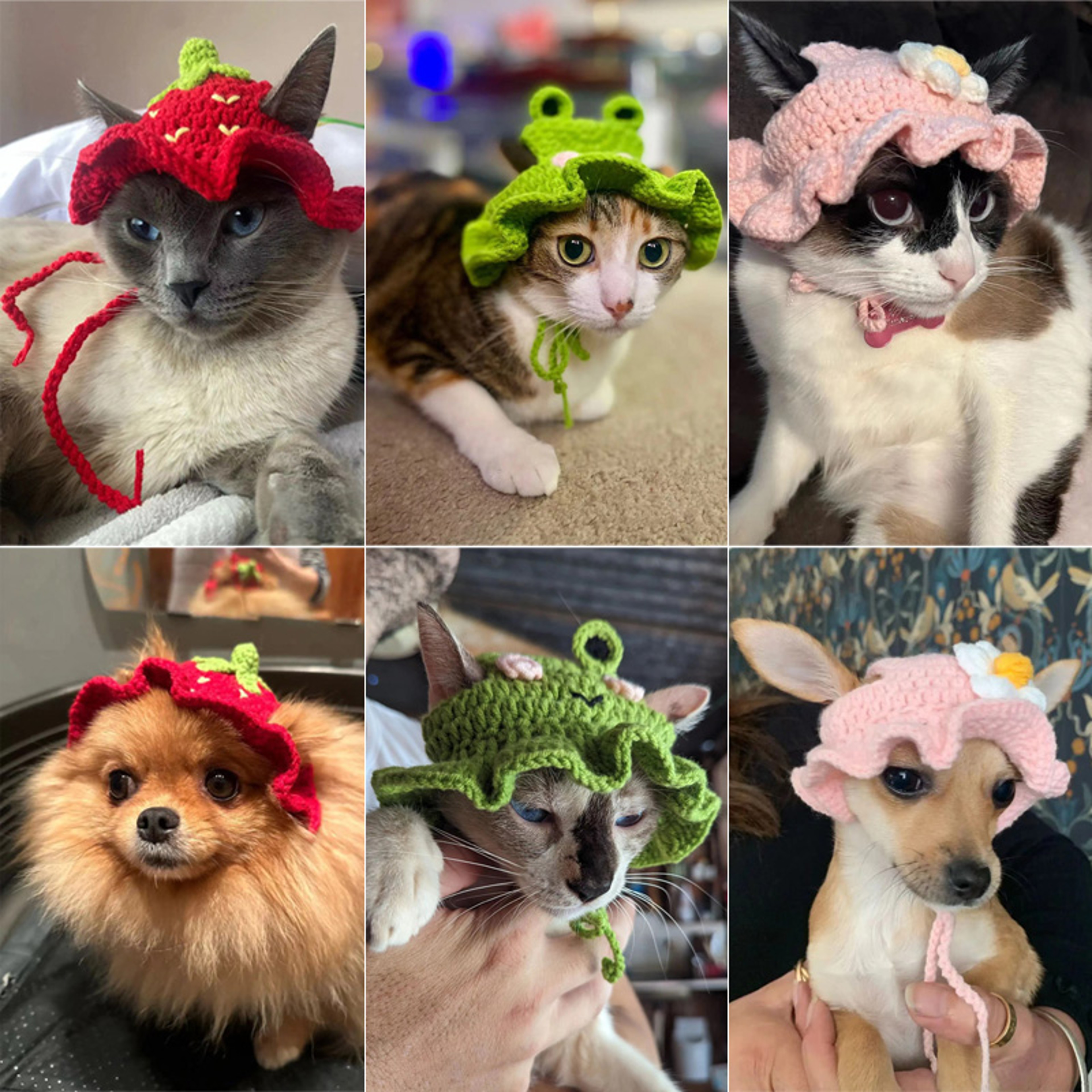 Handmade Cat Hat Elastic Woven Knitted Cap For Pets Puppy  Kitten Headwear For Party  Photoshoot De 1