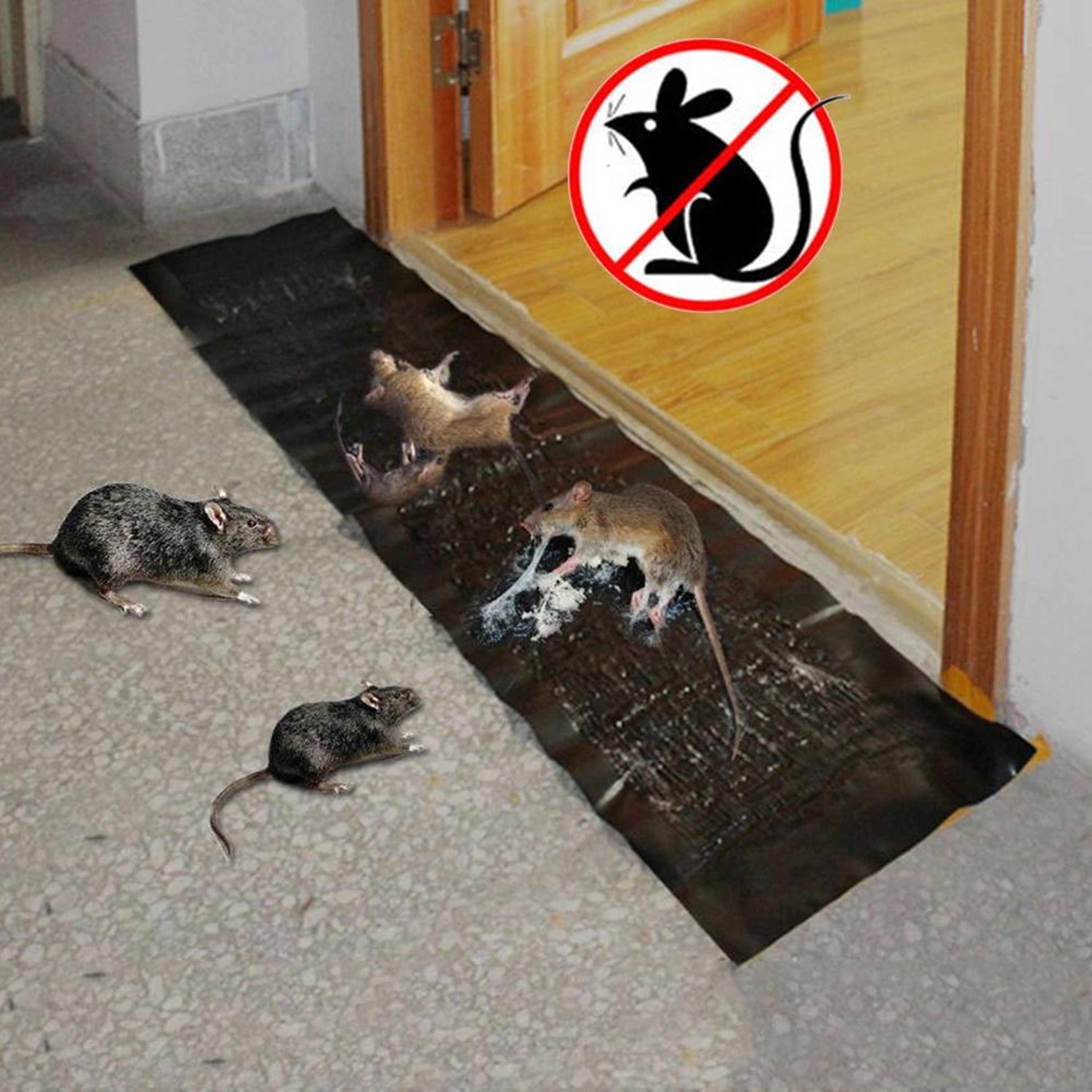 Transparent Strong Adhesive Mouse Trap Glue Board For Indoor Rodent Control 5