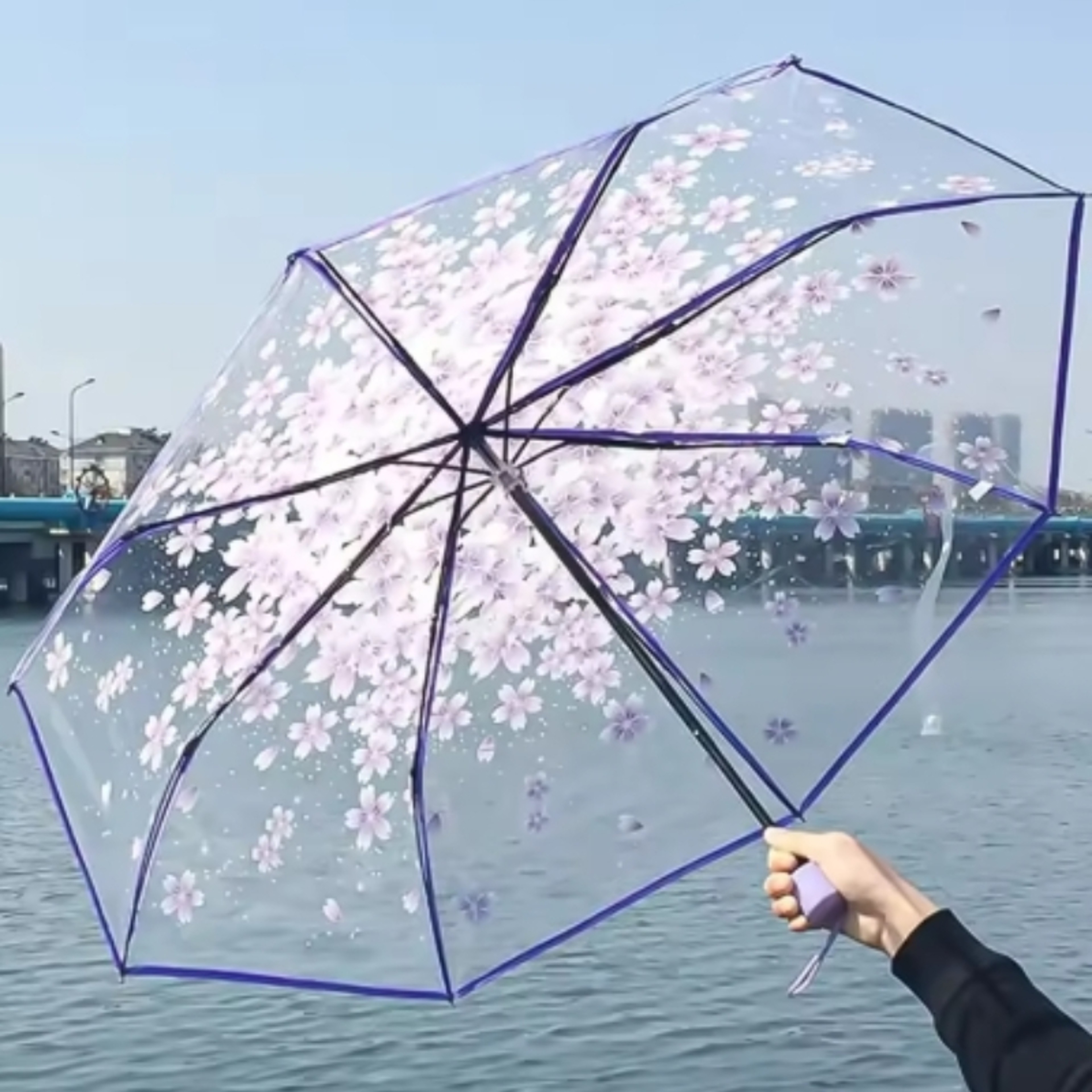 Durable 3-Fold Girls Travel Umbrella, Fashionable Sakura Fresh Transparent Petal, Fully Automatic 8 Bones – view 6