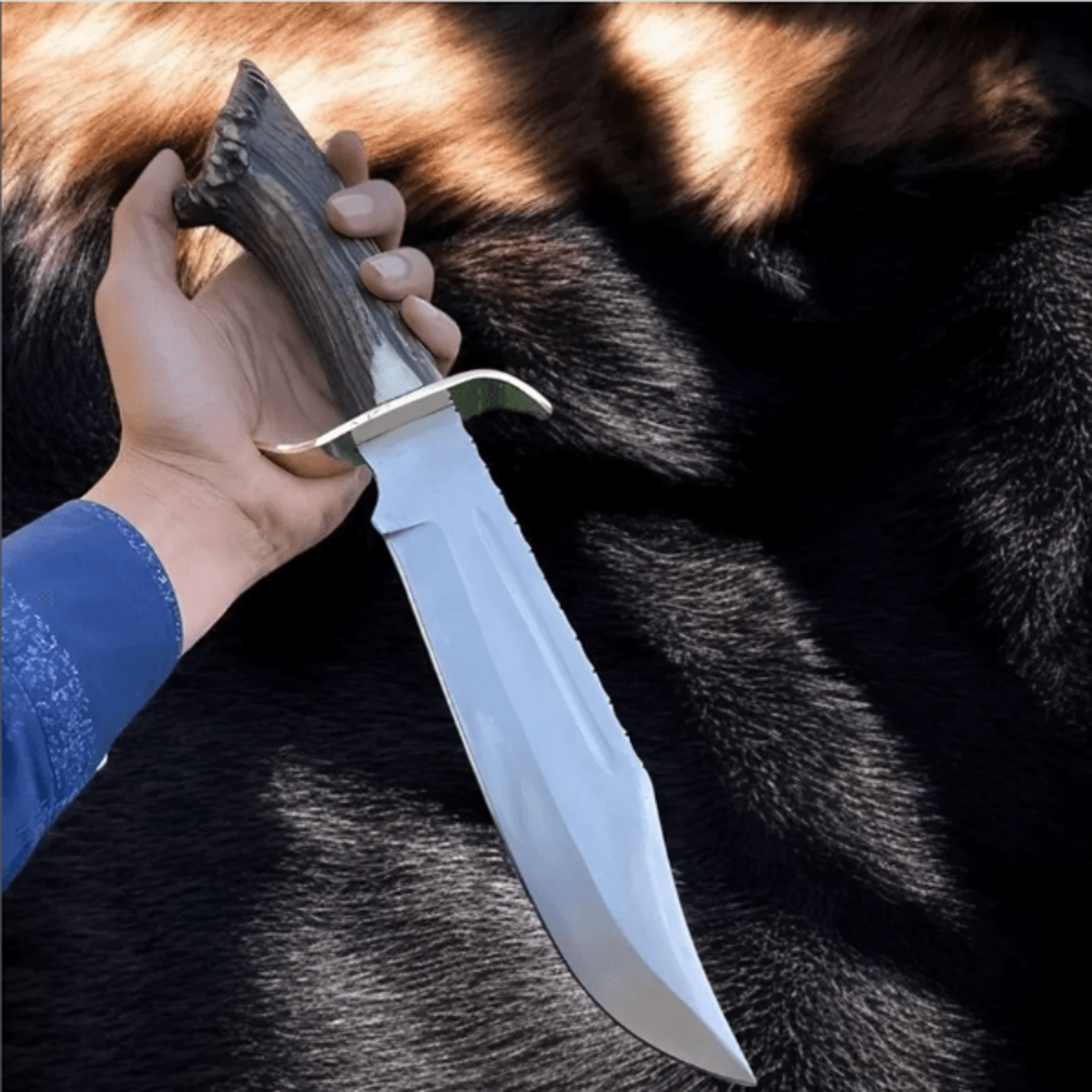 Buy Hand Forged 14 Inch D2 Steel Bowie Knife