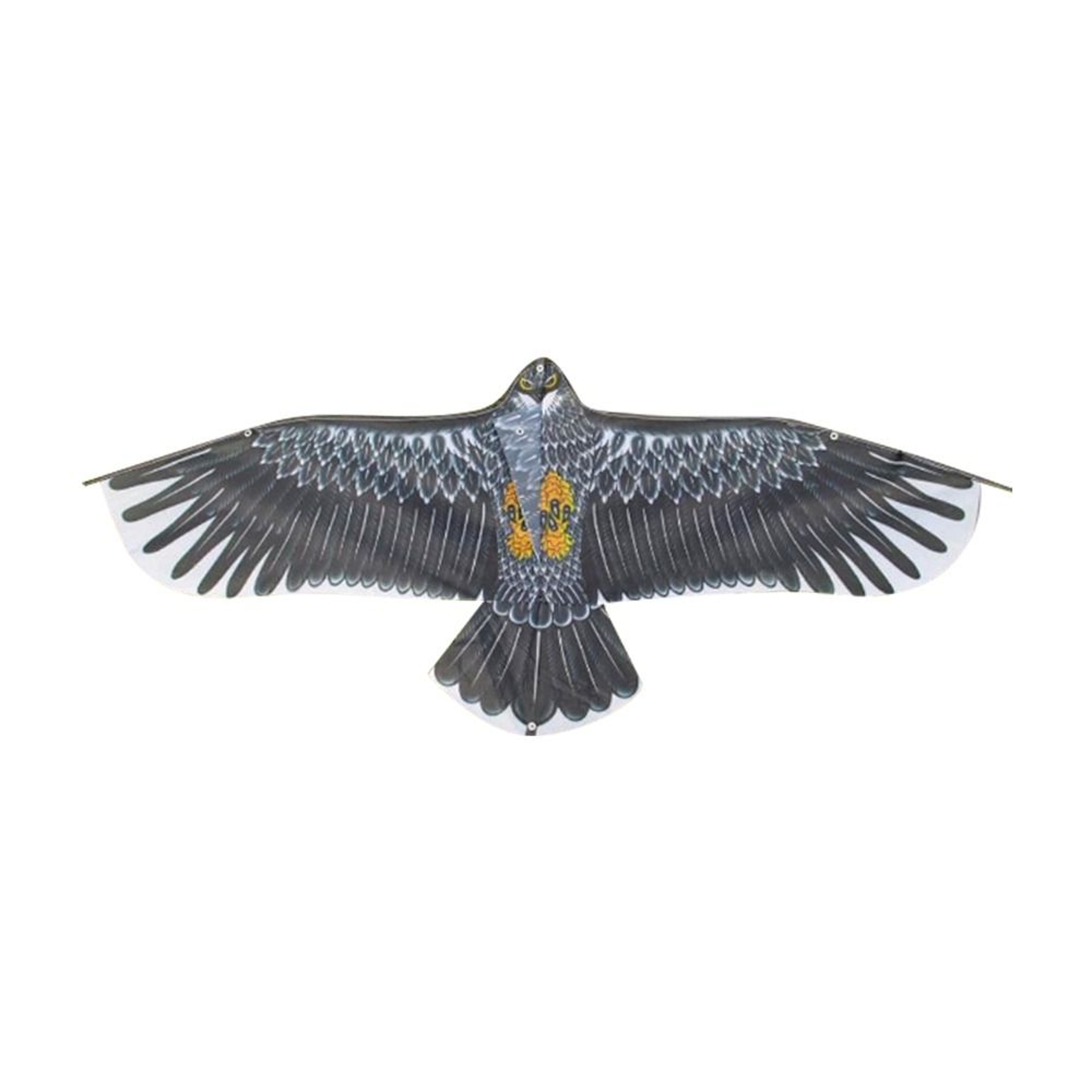 Eagle Kite For Kids Large Flying Bird Kite For Outdoor Fun Family Trips  Beach Adventures 3