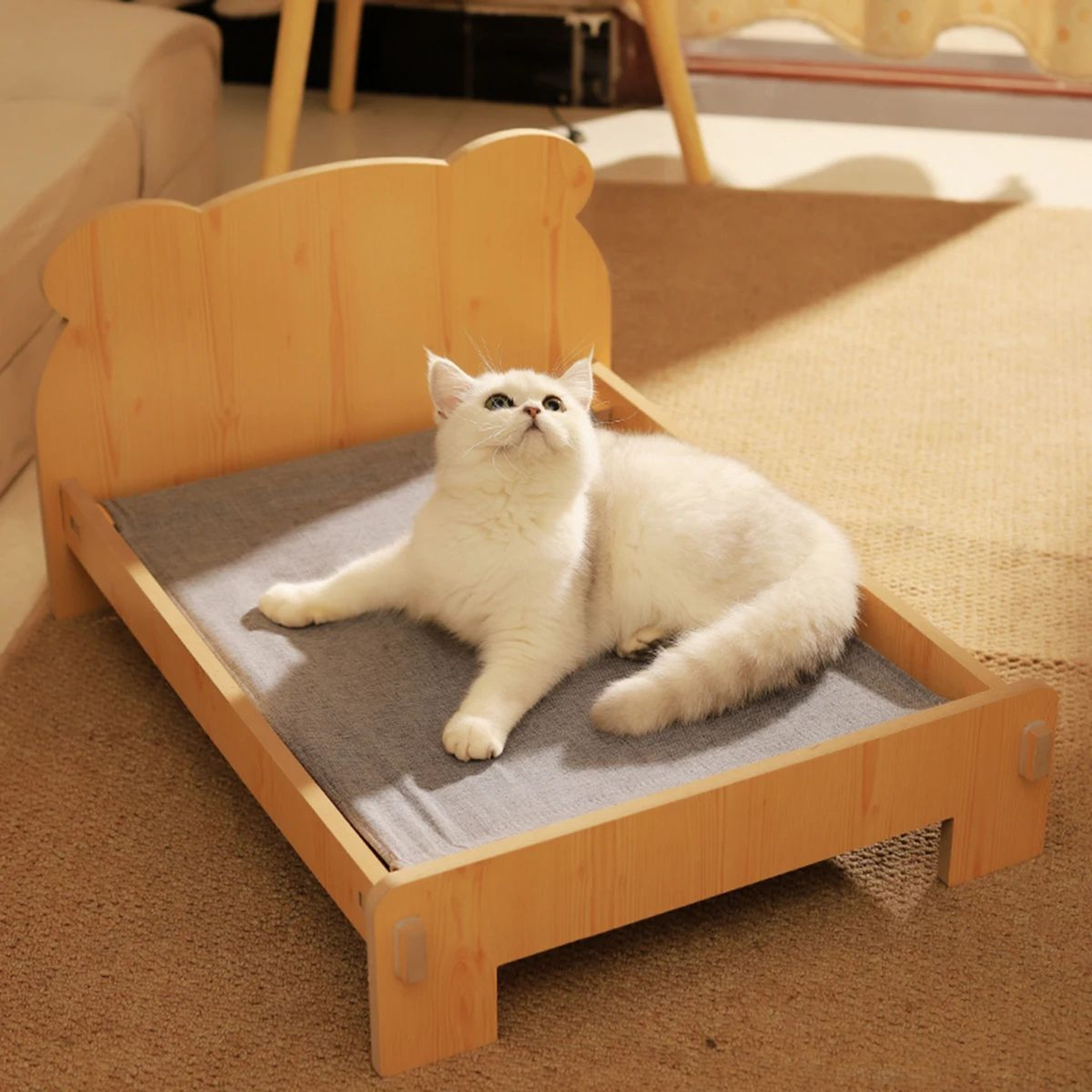 Wooden Cat And Dog Bed With Teddy Bear Pattern Comfortable Indoor Pet Furniture  Durable FloortoCei 3