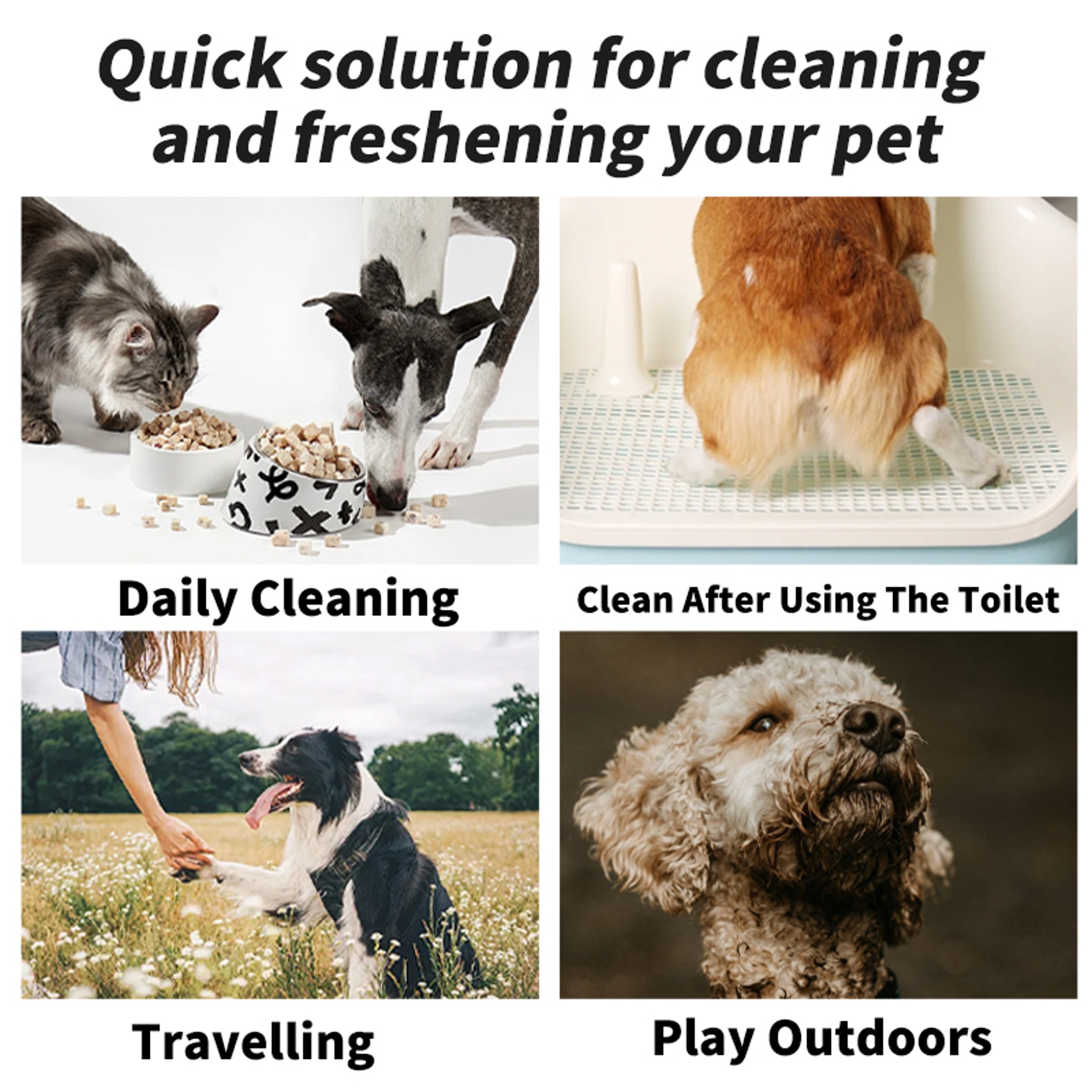 Multi Purpose Pet Wipes, Plant Based Care for Dogs Cats, Sensitive Skin Deodorizer, Odor Remover for Paws Ears Body – view 2