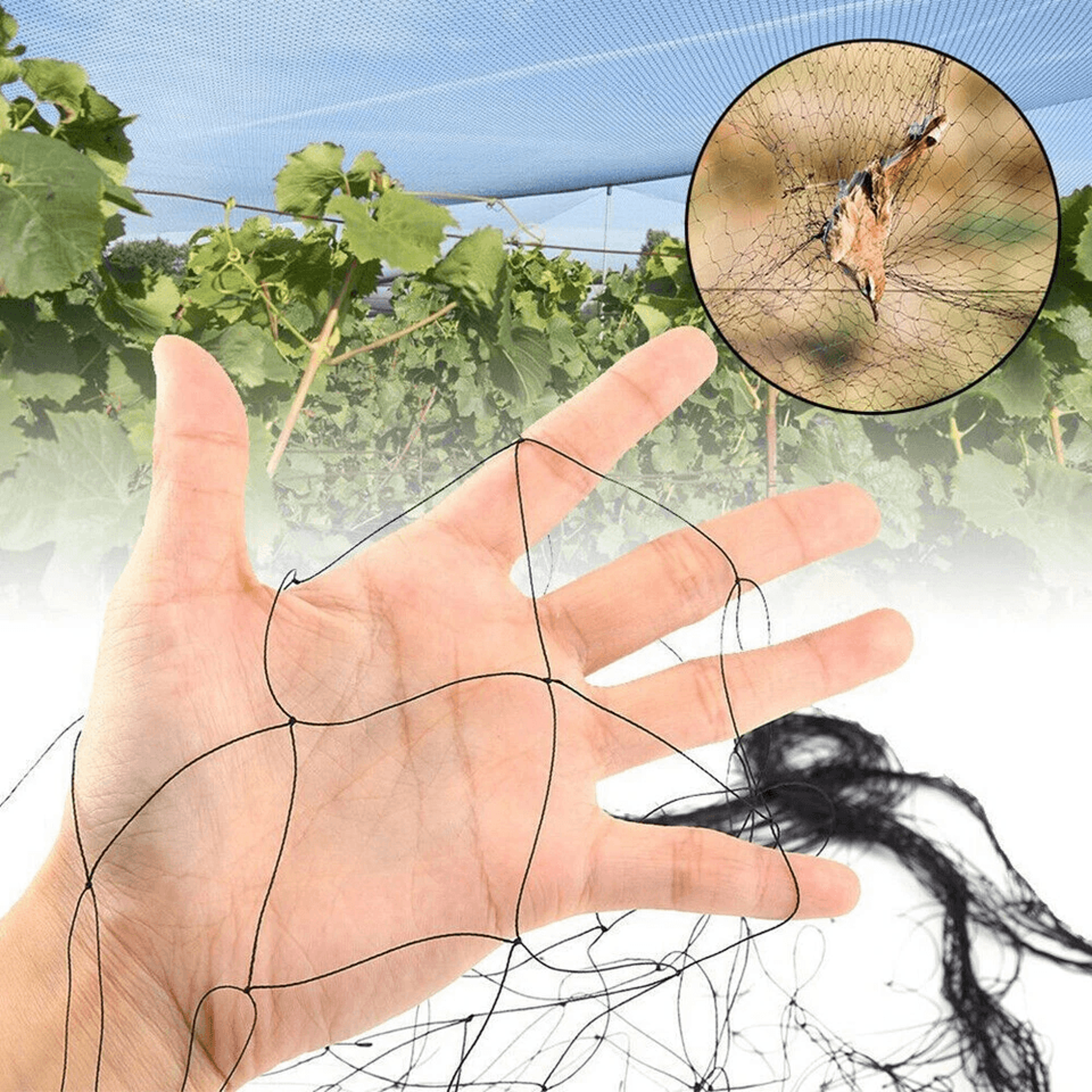 Anti Bird Netting For Garden Pond Tree Fruit Crop Plant Mesh Protection 2