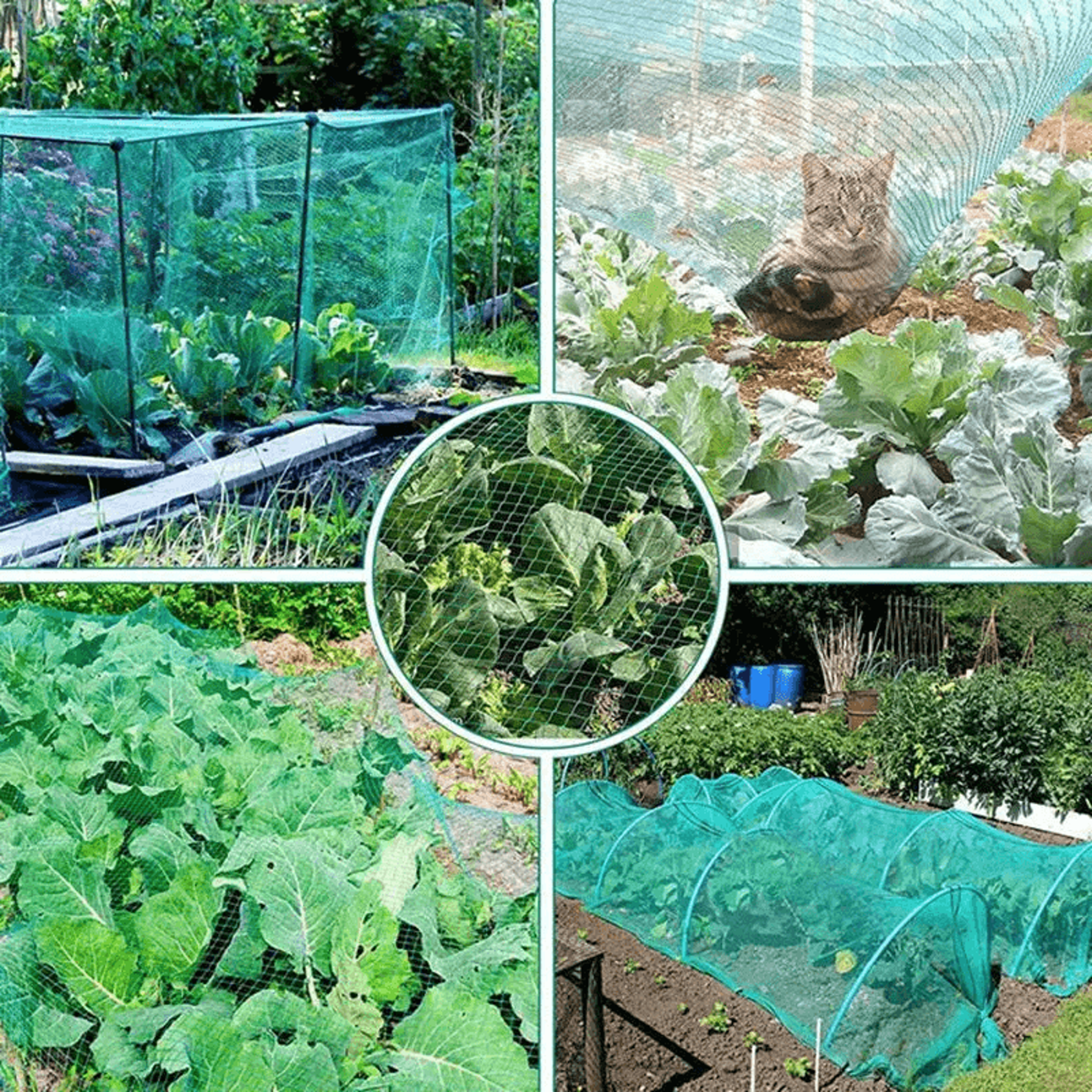 Anti Bird Netting For Garden Pond Tree Fruit Crop Plant Mesh Protection 0