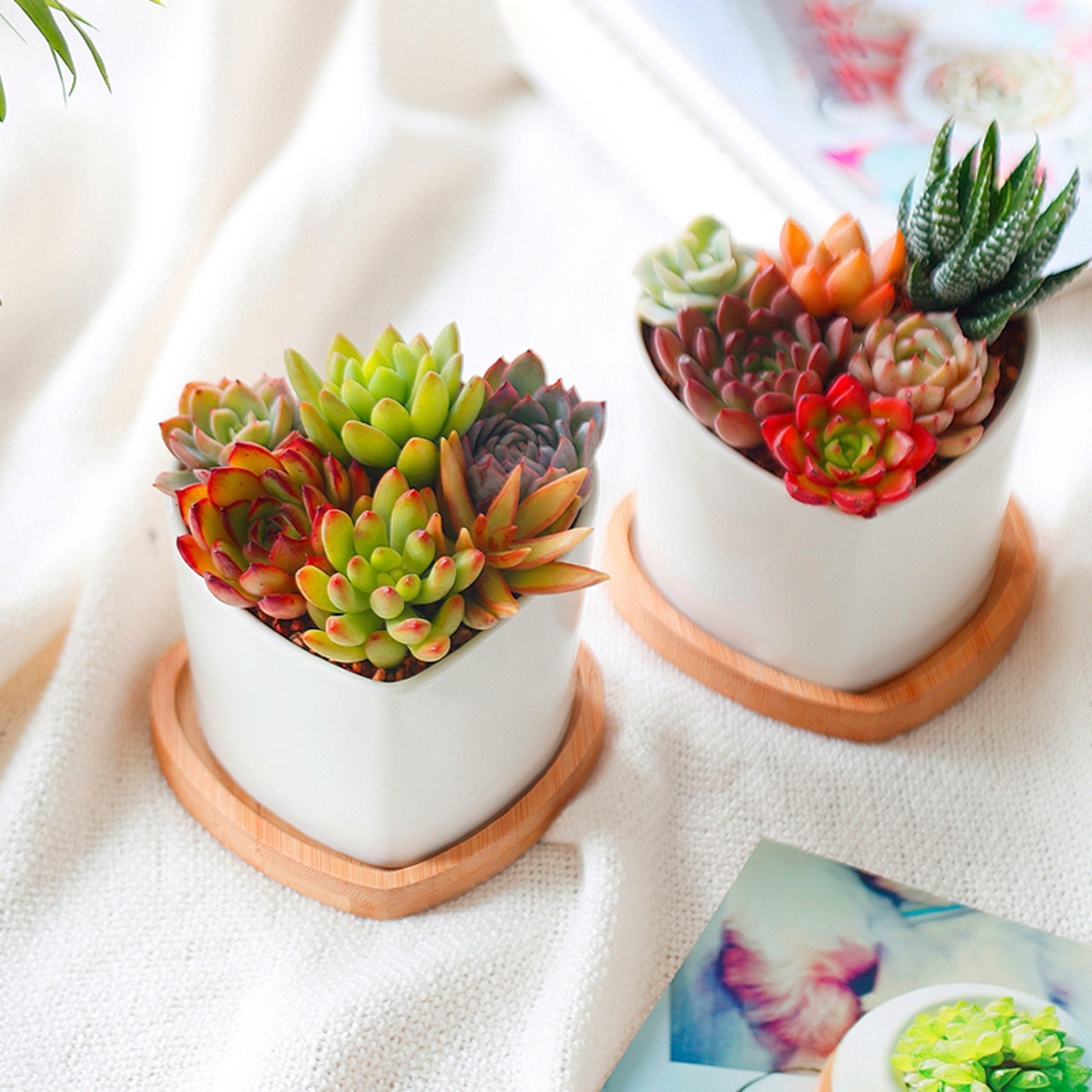 Mini Bamboo Tray Wood Saucer Flower Pot Tray Cup Pad Coaster Plate Kitchen Decorative Plate Creative Coffee Cup Mat Home Decor – view 5
