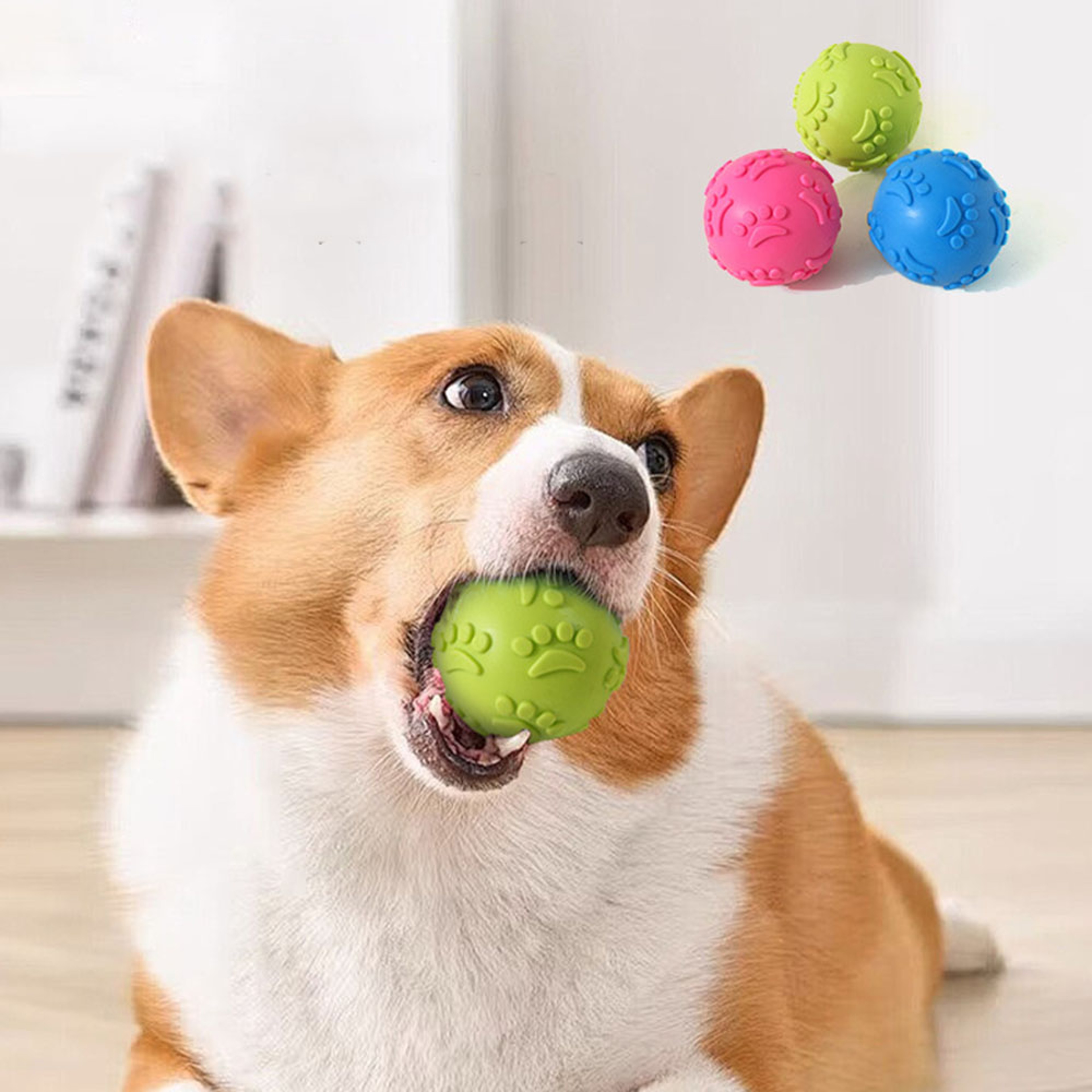 Outdoor Throwing Dog Squeak Toy Ball Durable Chewing Training Ball Pet Supplies Recovery Toy For Ac 0