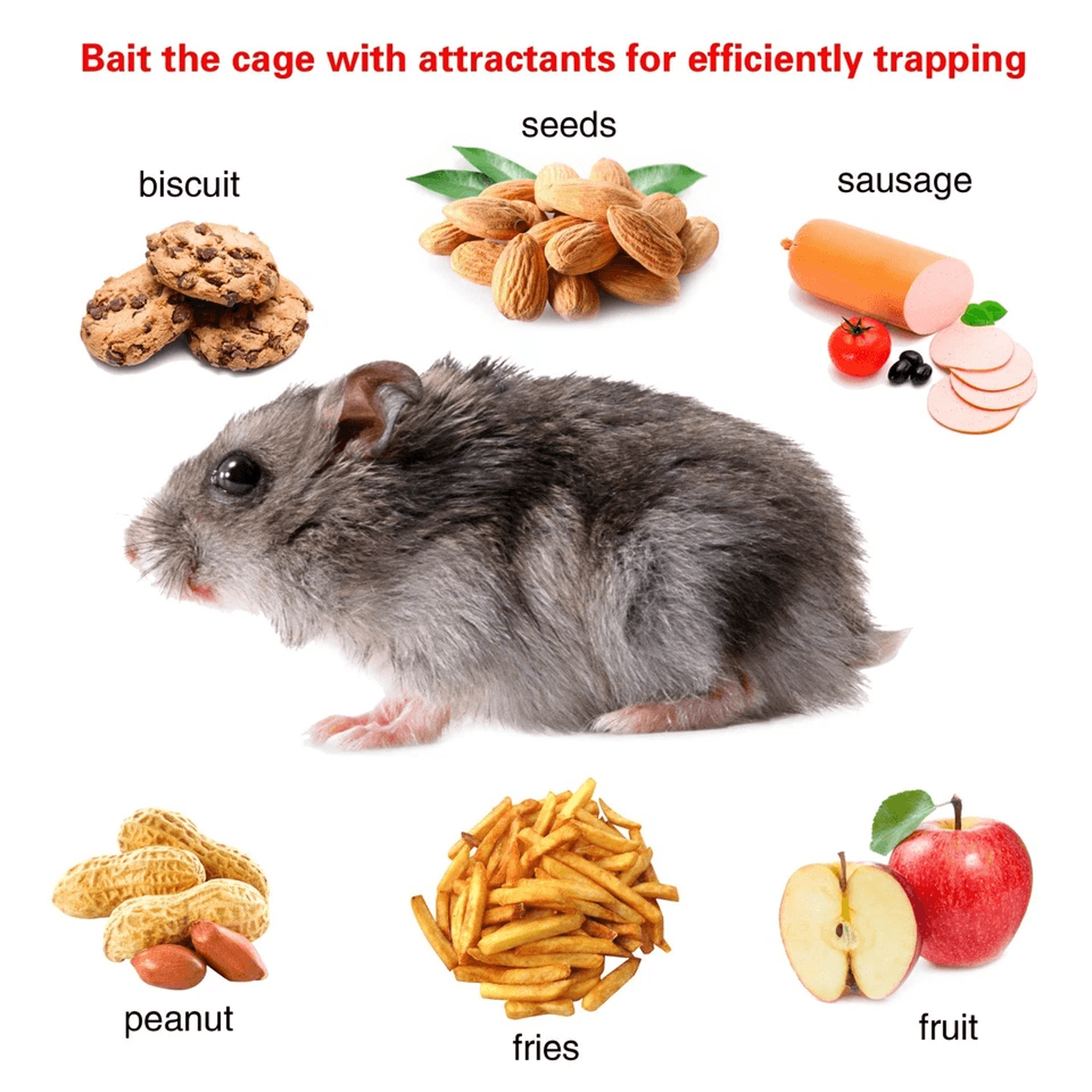 Live Rodent Trap Cage Rat Trap Cage Humane Iron Mouse Control Cage U Shaped Mouse Trap For Small Ro 10
