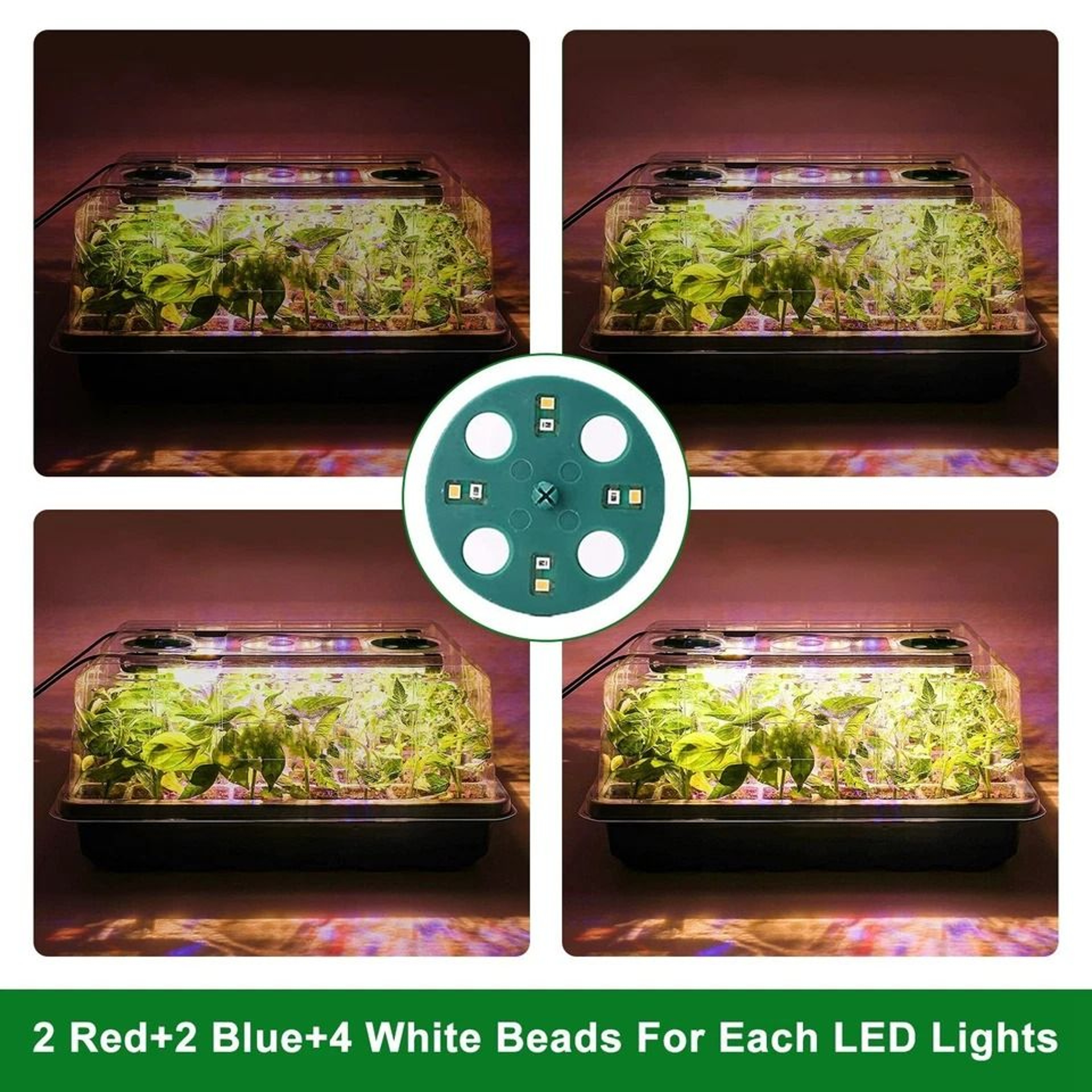 Seedling Seed Starter Tray Kit WGrow Light Cells Plant Greenhouse Dome Easy Indoor Garden Setup 6