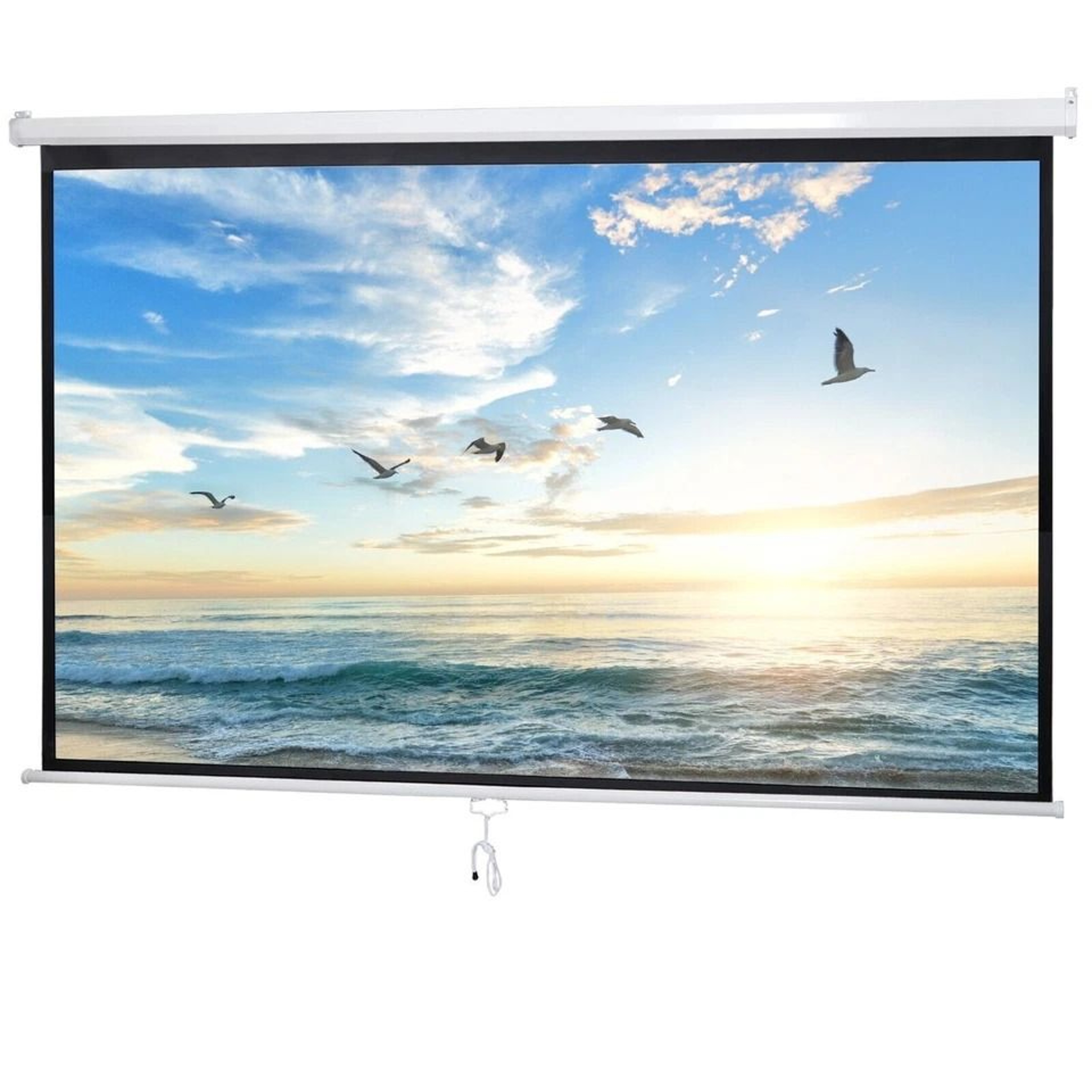 HD Manual Pull Down Projection Screen Portable Projector Screen Movie Screen Aspect Ratio White 4
