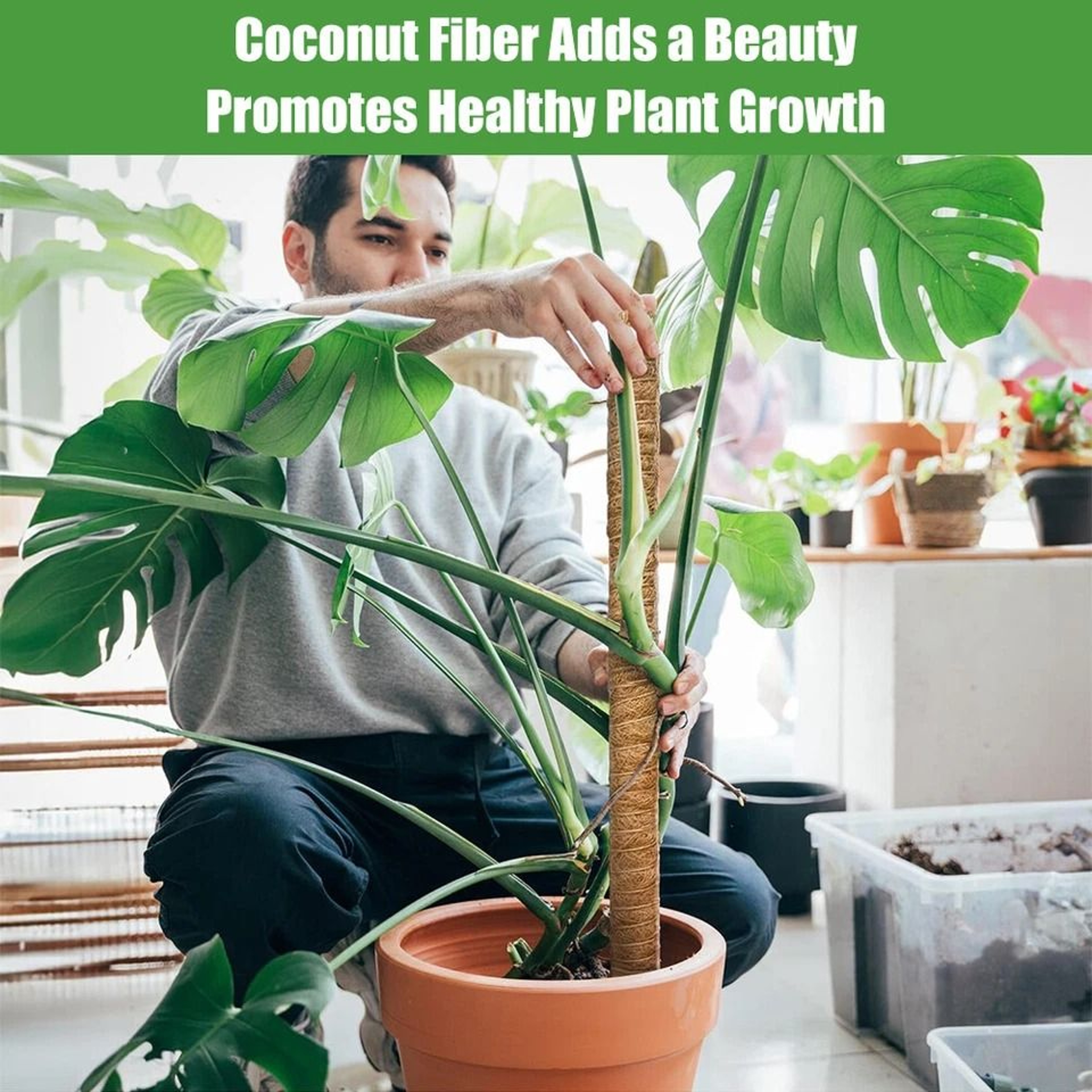 Coir Moss Pole For Climbing Plants Monstera Support Stick For House Plants Totem Support For Philod 1