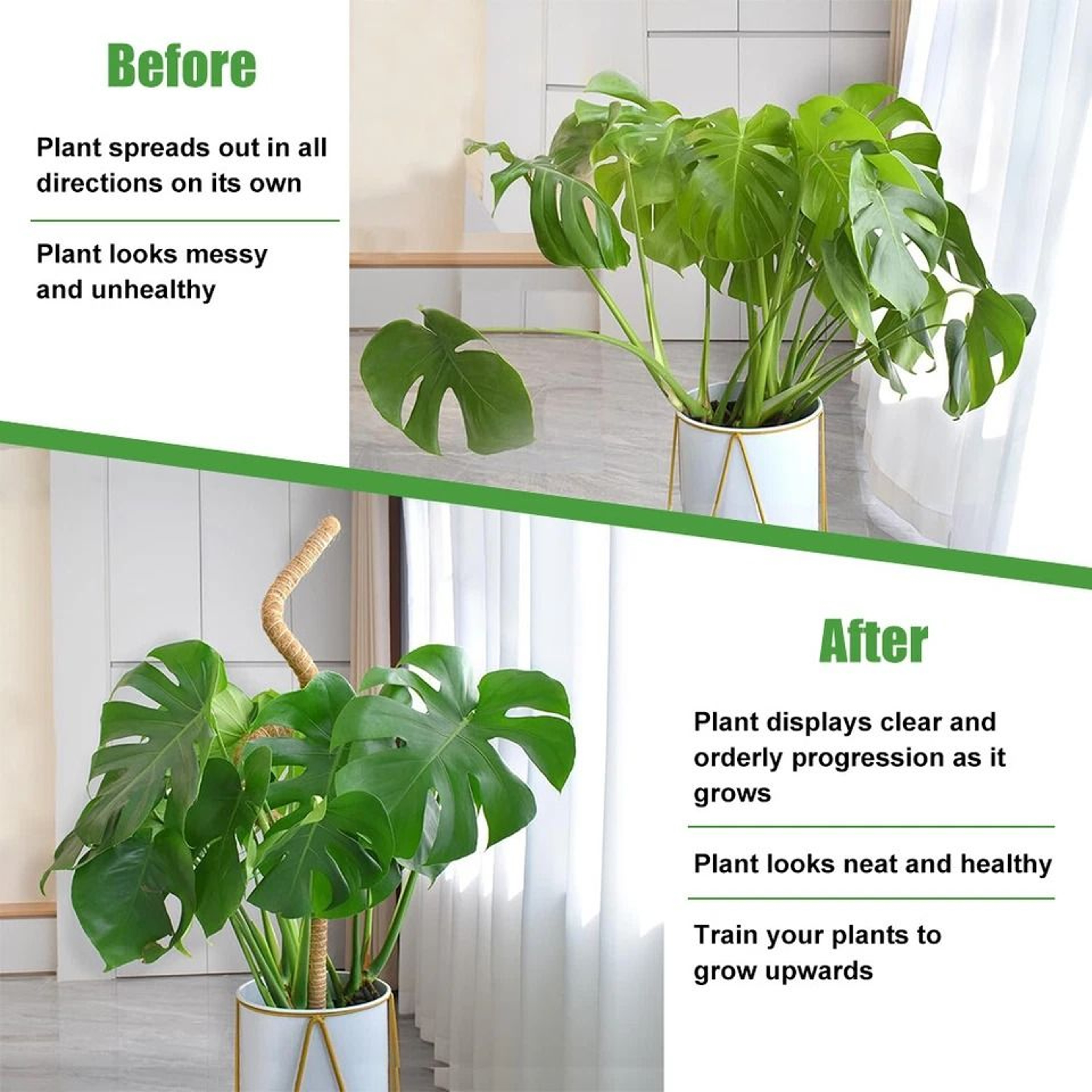 Coir Moss Pole For Climbing Plants Monstera Support Stick For House Plants Totem Support For Philod 6