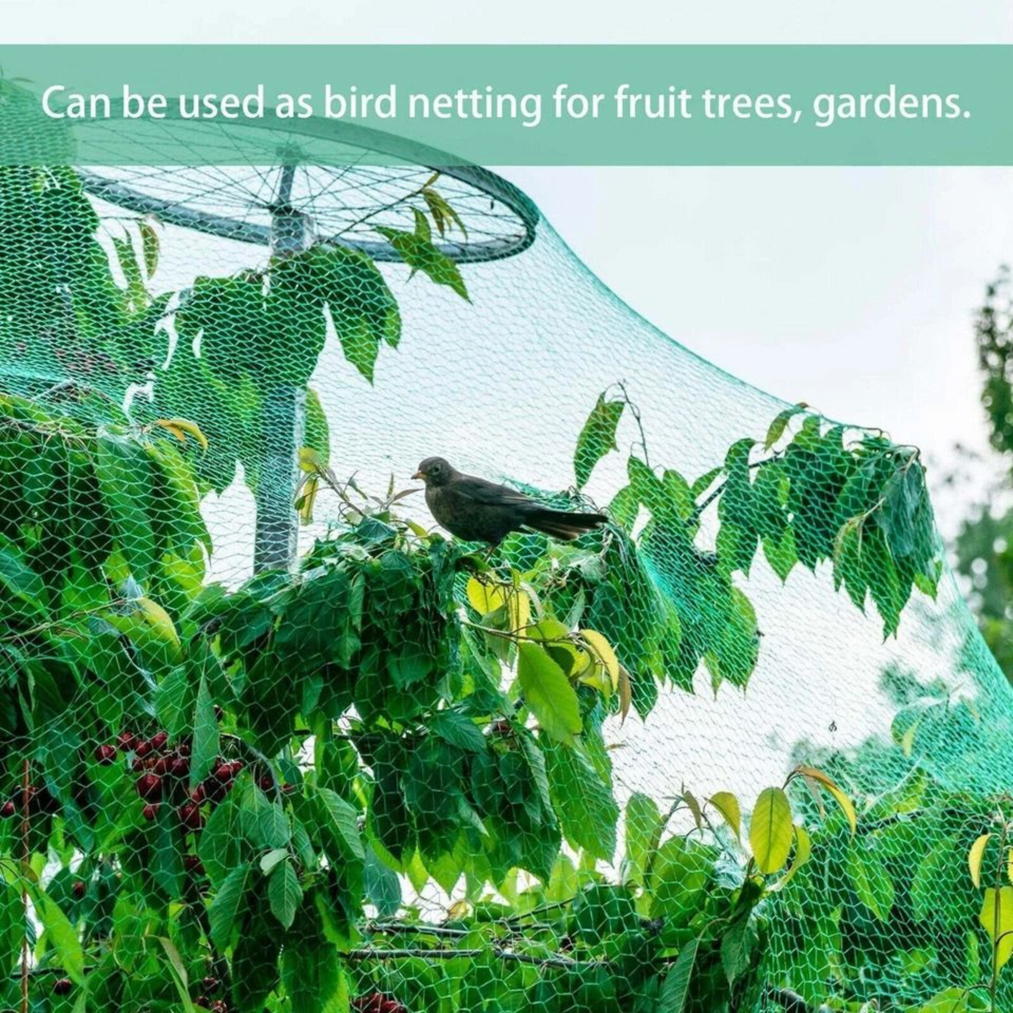 Durable Anti Bird Netting For Garden Plants Trees Fruits 6