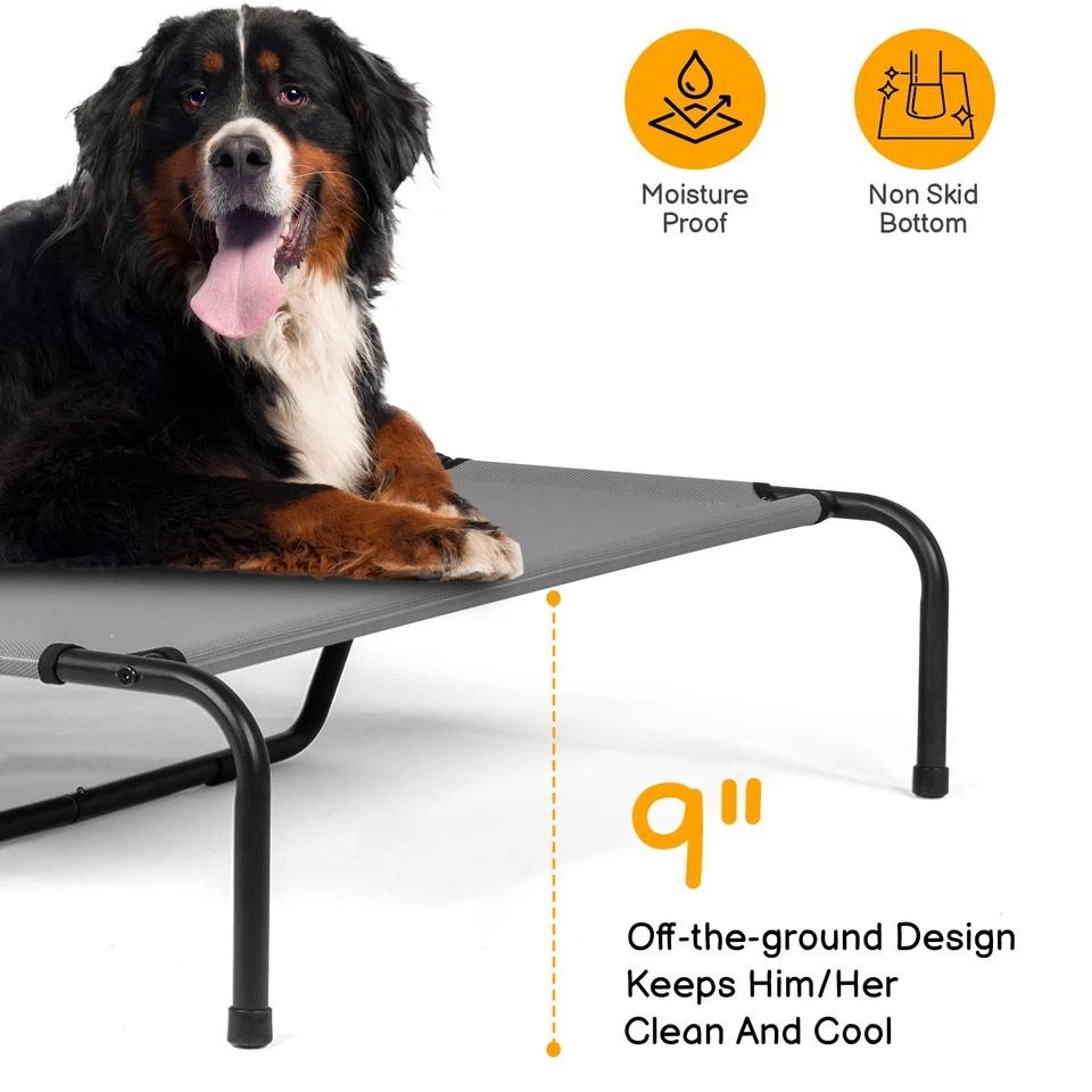 Elevated Dog Bed Durable Raised Pet Cot For Indoor  Outdoor Use 3