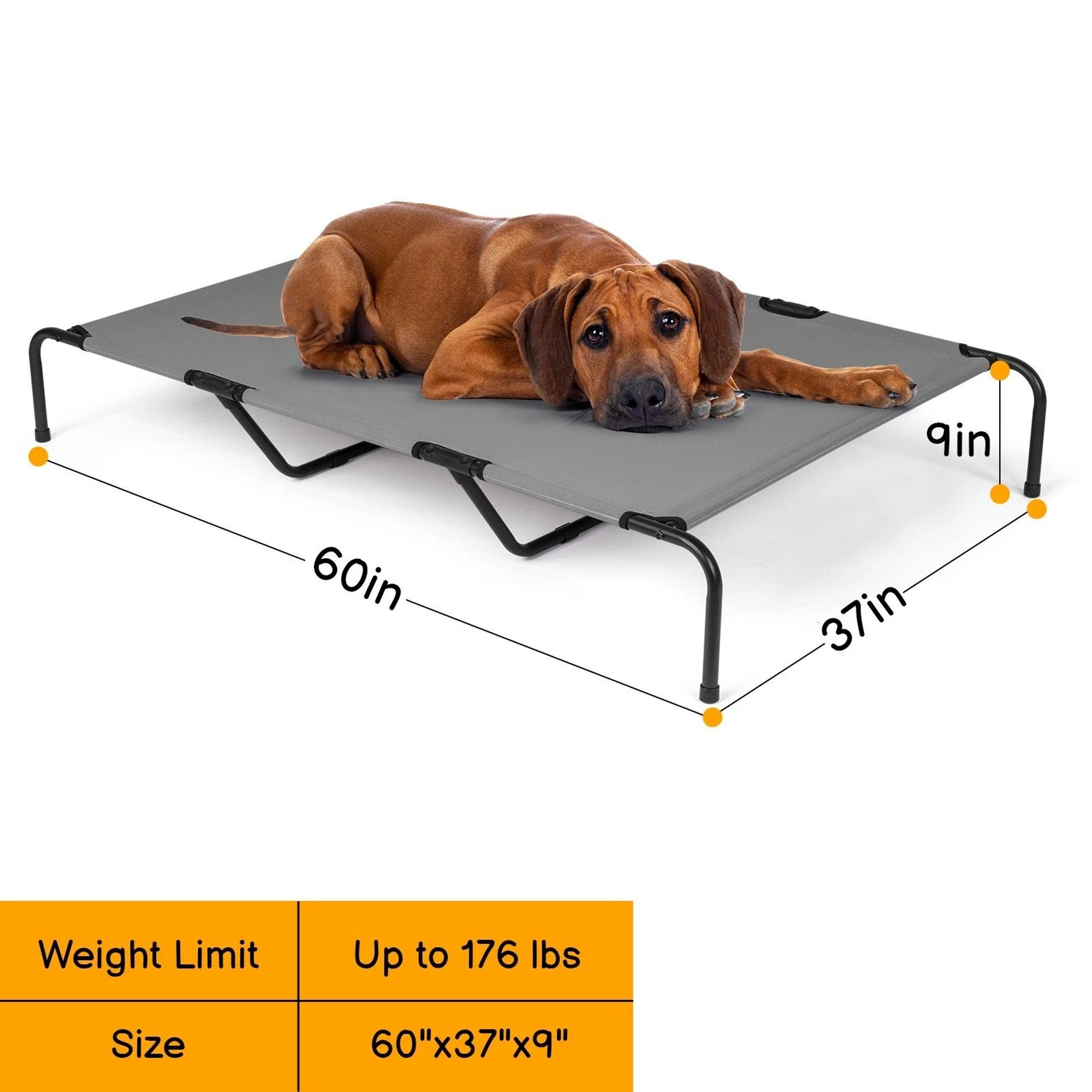 Elevated Dog Bed Durable Raised Pet Cot For Indoor  Outdoor Use 6