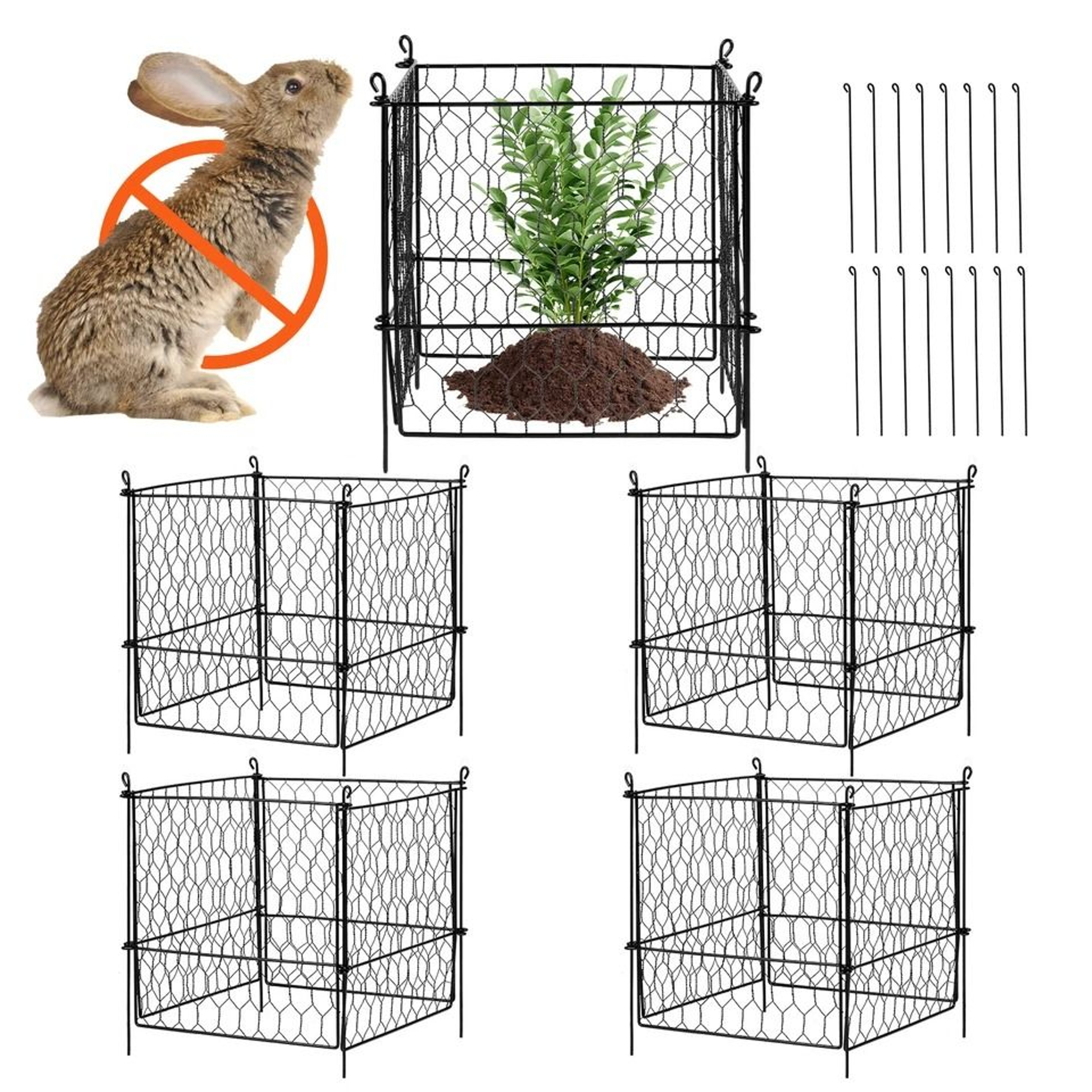 Animal Protector Metal Plant Cage Garden Defense 4