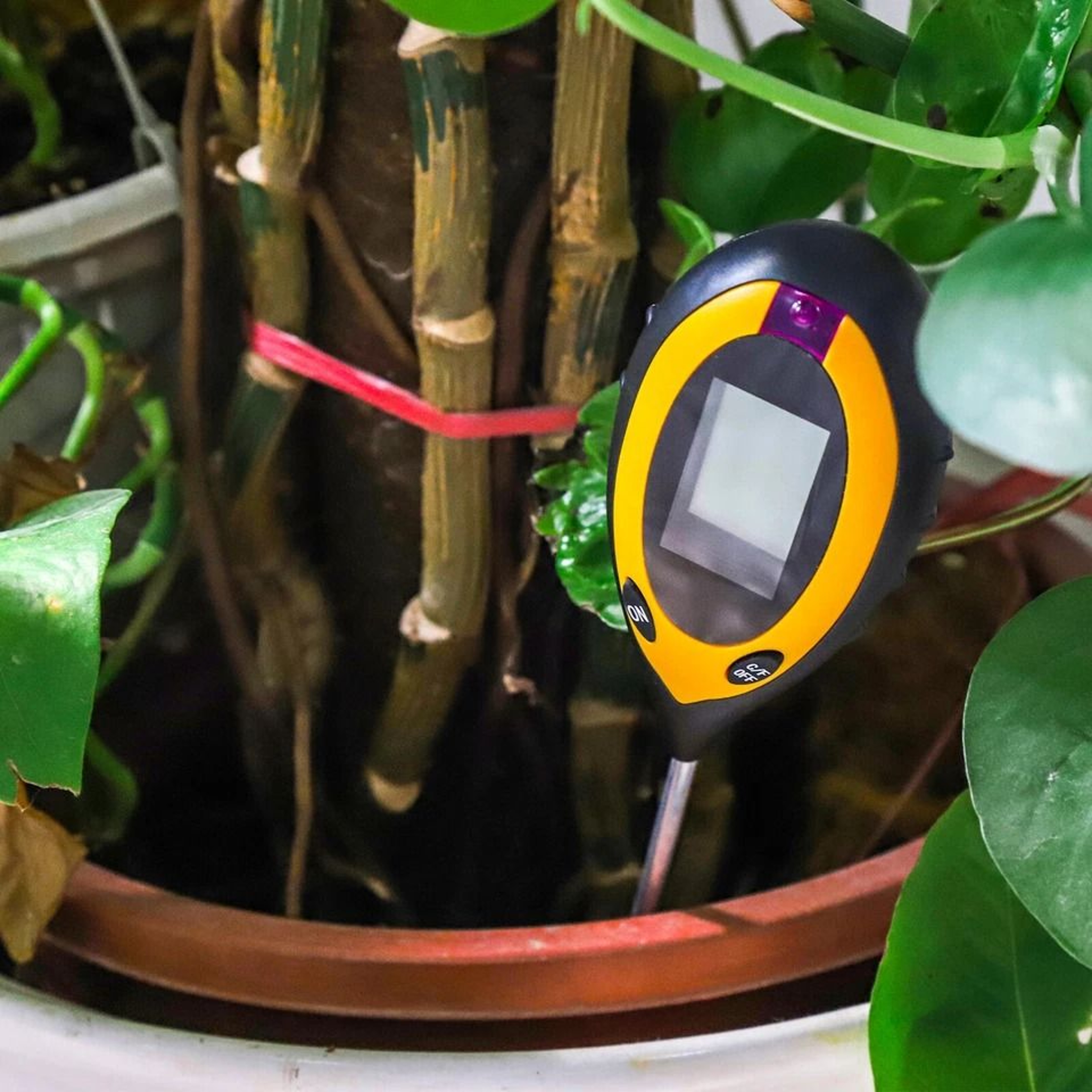Garden Soil Tester Digital Soil Tester For PH Moisture Sunlight  Temperature 3