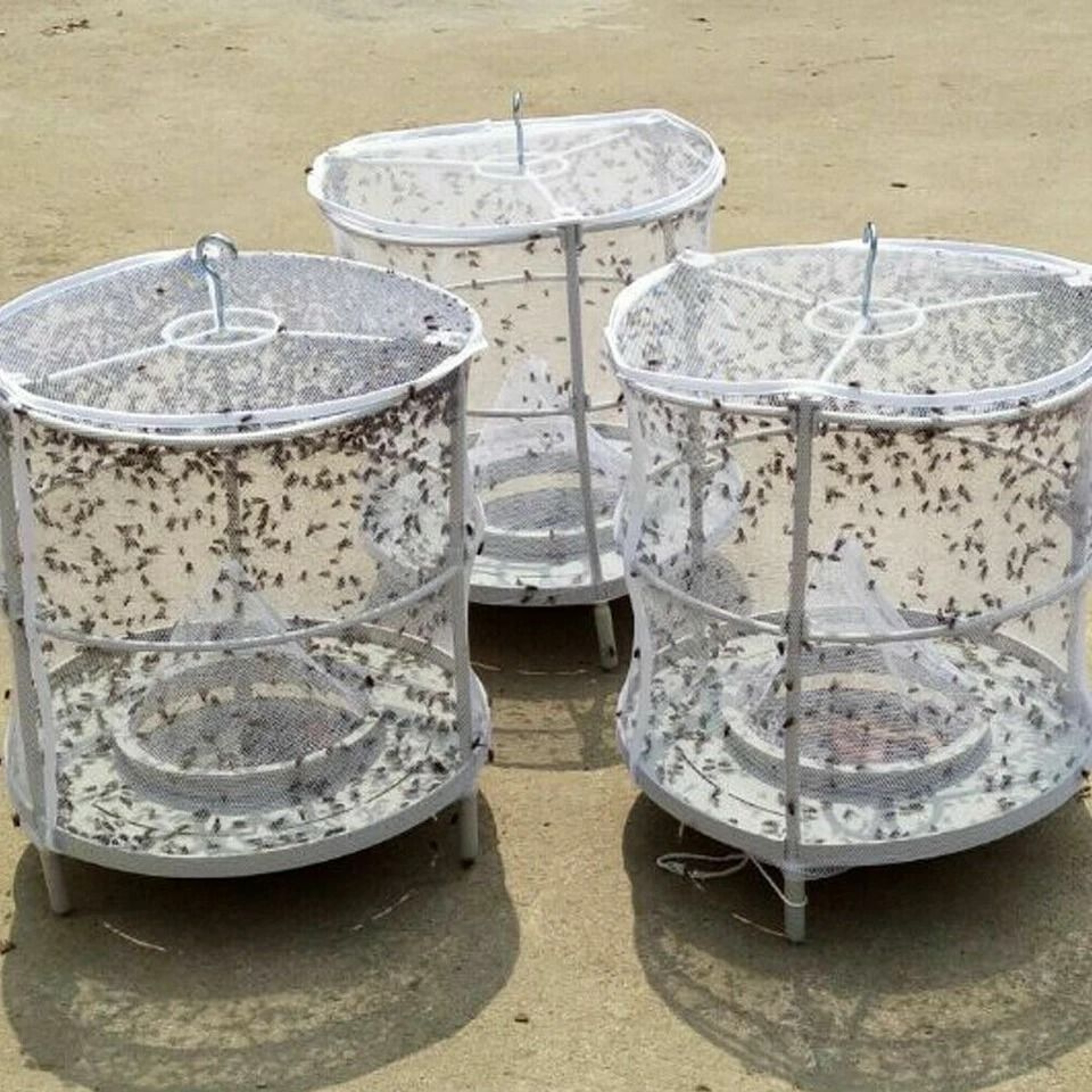Reusable Hanging Fly Trap Cage For Outdoor Pest Control 1